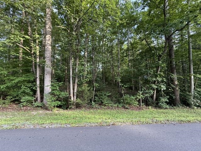 TBD ELLIS DR, LOUISA, Virginia 23093, ,Land,TBD ELLIS DR,679238 MLS # 679238 TBD ELLIS DR, LOUISA, Virginia 23093, ,Land,TBD ELLIS DR,679238 MLS # 679238