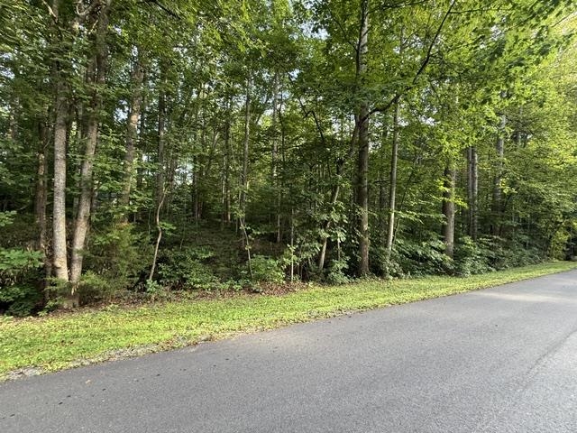 TBD ELLIS DR, LOUISA, Virginia 23093, ,Land,TBD ELLIS DR,679238 MLS # 679238 TBD ELLIS DR, LOUISA, Virginia 23093, ,Land,TBD ELLIS DR,679238 MLS # 679238