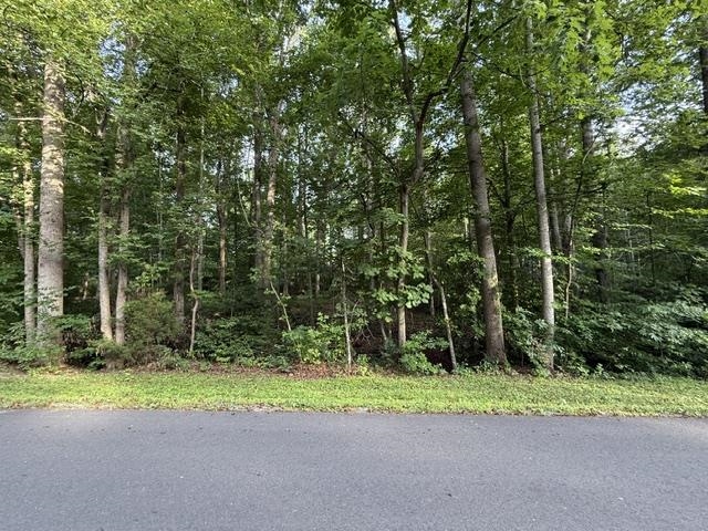 TBD ELLIS DR, LOUISA, Virginia 23093, ,Land,TBD ELLIS DR,679238 MLS # 679238 TBD ELLIS DR, LOUISA, Virginia 23093, ,Land,TBD ELLIS DR,679238 MLS # 679238