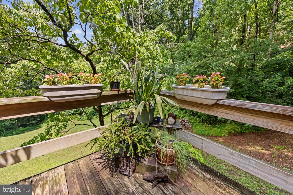 101 MIDDLE RIVER RIDGE ROAD, STANARDSVILLE, Virginia 22973, 3 Bedrooms Bedrooms, ,1 BathroomBathrooms,Residential,101 MIDDLE RIVER RIDGE ROAD,VAMA2002832 MLS # VAMA2002832