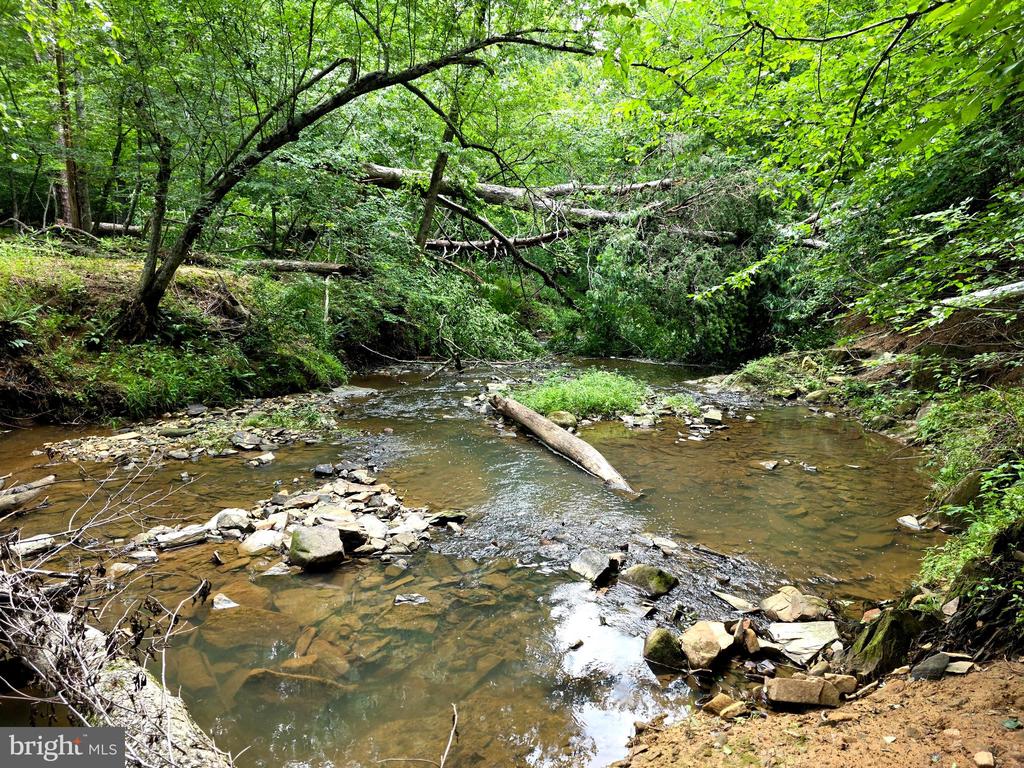 104 HALF PENNY LN, MADISON, Virginia 22727, 3 Bedrooms Bedrooms, ,3 BathroomsBathrooms,Residential,104 HALF PENNY LN,VAMA2002854 MLS # VAMA2002854 104 HALF PENNY LN, MADISON, Virginia 22727, 3 Bedrooms Bedrooms, ,3 BathroomsBathrooms,Residential,104 HALF PENNY LN,VAMA2002854 MLS # VAMA2002854