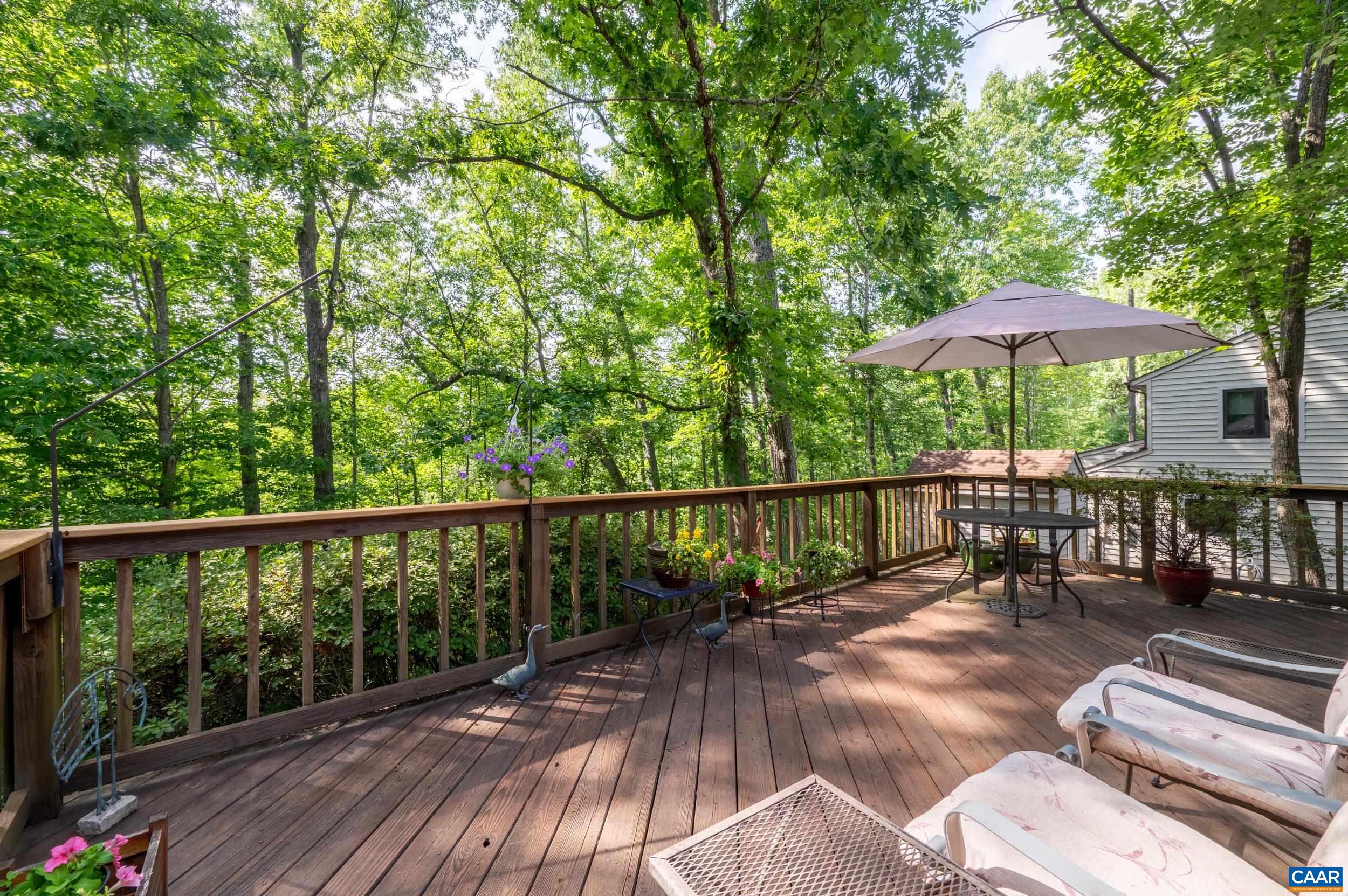 1268 TIMBERBRANCH CT, CHARLOTTESVILLE, Virginia 22902, 3 Bedrooms Bedrooms, ,2 BathroomsBathrooms,Residential,1268 TIMBERBRANCH CT,679224 MLS # 679224 1268 TIMBERBRANCH CT, CHARLOTTESVILLE, Virginia 22902, 3 Bedrooms Bedrooms, ,2 BathroomsBathrooms,Residential,1268 TIMBERBRANCH CT,679224 MLS # 679224