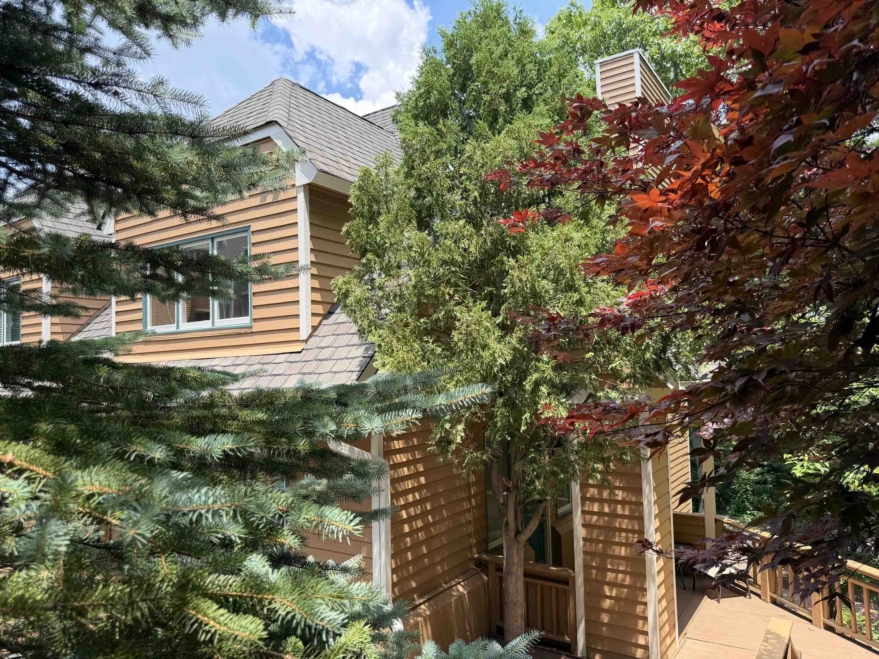 12 IVY GLEN LN, WINTERGREEN RESORT, Virginia 22967, 2 Bedrooms Bedrooms, ,2 BathroomsBathrooms,Residential,Westwood end unit townhome with a basement,12 IVY GLEN LN,679254 MLS # 679254 12 IVY GLEN LN, WINTERGREEN RESORT, Virginia 22967, 2 Bedrooms Bedrooms, ,2 BathroomsBathrooms,Residential,Westwood end unit townhome with a basement,12 IVY GLEN LN,679254 MLS # 679254
