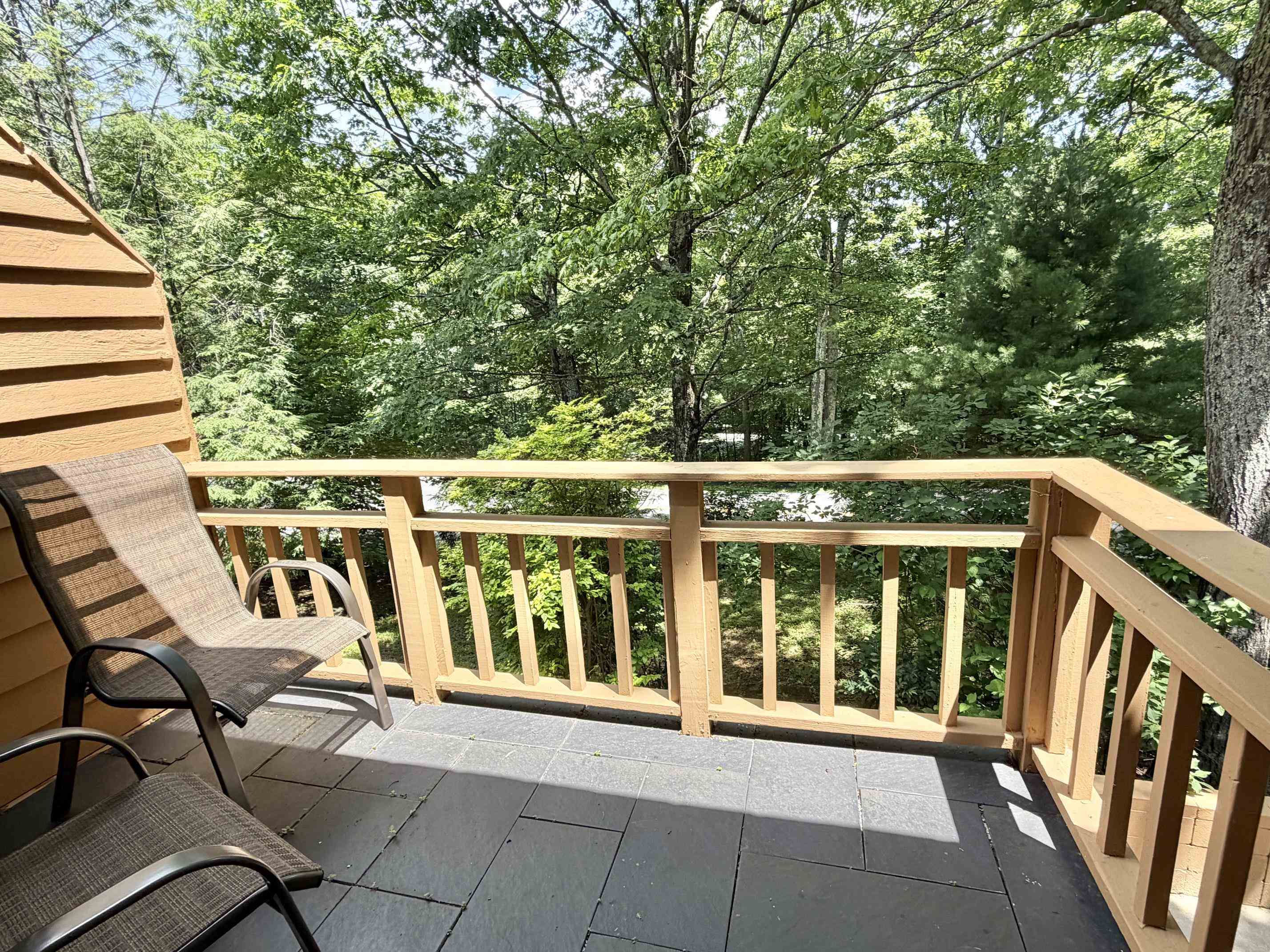 12 IVY GLEN LN, WINTERGREEN RESORT, Virginia 22967, 2 Bedrooms Bedrooms, ,2 BathroomsBathrooms,Residential,Westwood end unit townhome with a basement,12 IVY GLEN LN,679254 MLS # 679254 12 IVY GLEN LN, WINTERGREEN RESORT, Virginia 22967, 2 Bedrooms Bedrooms, ,2 BathroomsBathrooms,Residential,Westwood end unit townhome with a basement,12 IVY GLEN LN,679254 MLS # 679254