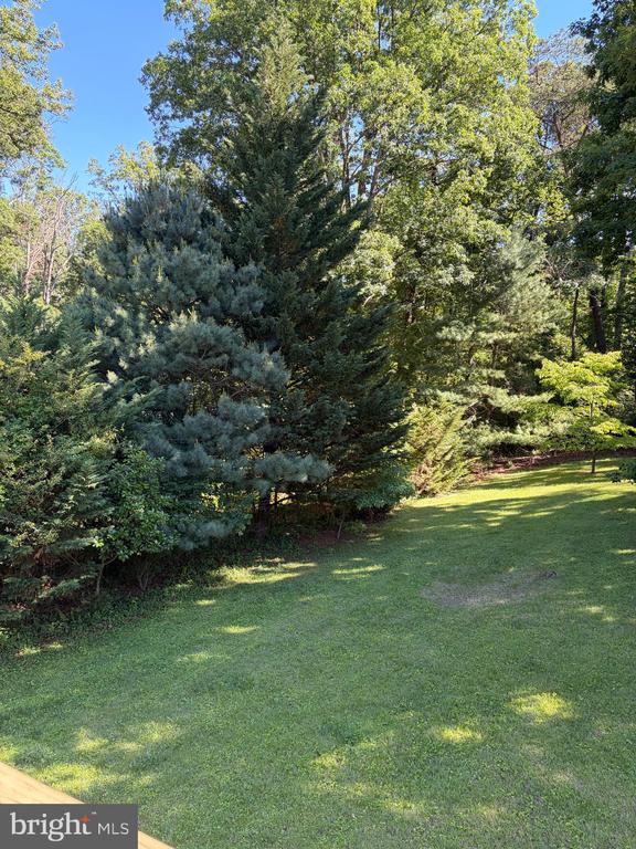 7386 STUART, WARRENTON, Virginia 20187, 5 Bedrooms Bedrooms, ,3 BathroomsBathrooms,Residential,7386 STUART,VAFQ2022744 MLS # VAFQ2022744 7386 STUART, WARRENTON, Virginia 20187, 5 Bedrooms Bedrooms, ,3 BathroomsBathrooms,Residential,7386 STUART,VAFQ2022744 MLS # VAFQ2022744