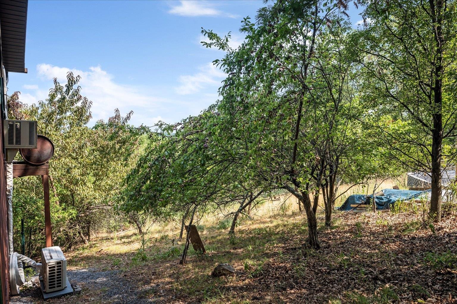 685 N MAPLE DR, MOUNT JACKSON, Virginia 22842, 3 Bedrooms Bedrooms, ,2 BathroomsBathrooms,Residential,685 N MAPLE DR,679257 MLS # 679257 685 N MAPLE DR, MOUNT JACKSON, Virginia 22842, 3 Bedrooms Bedrooms, ,2 BathroomsBathrooms,Residential,685 N MAPLE DR,679257 MLS # 679257