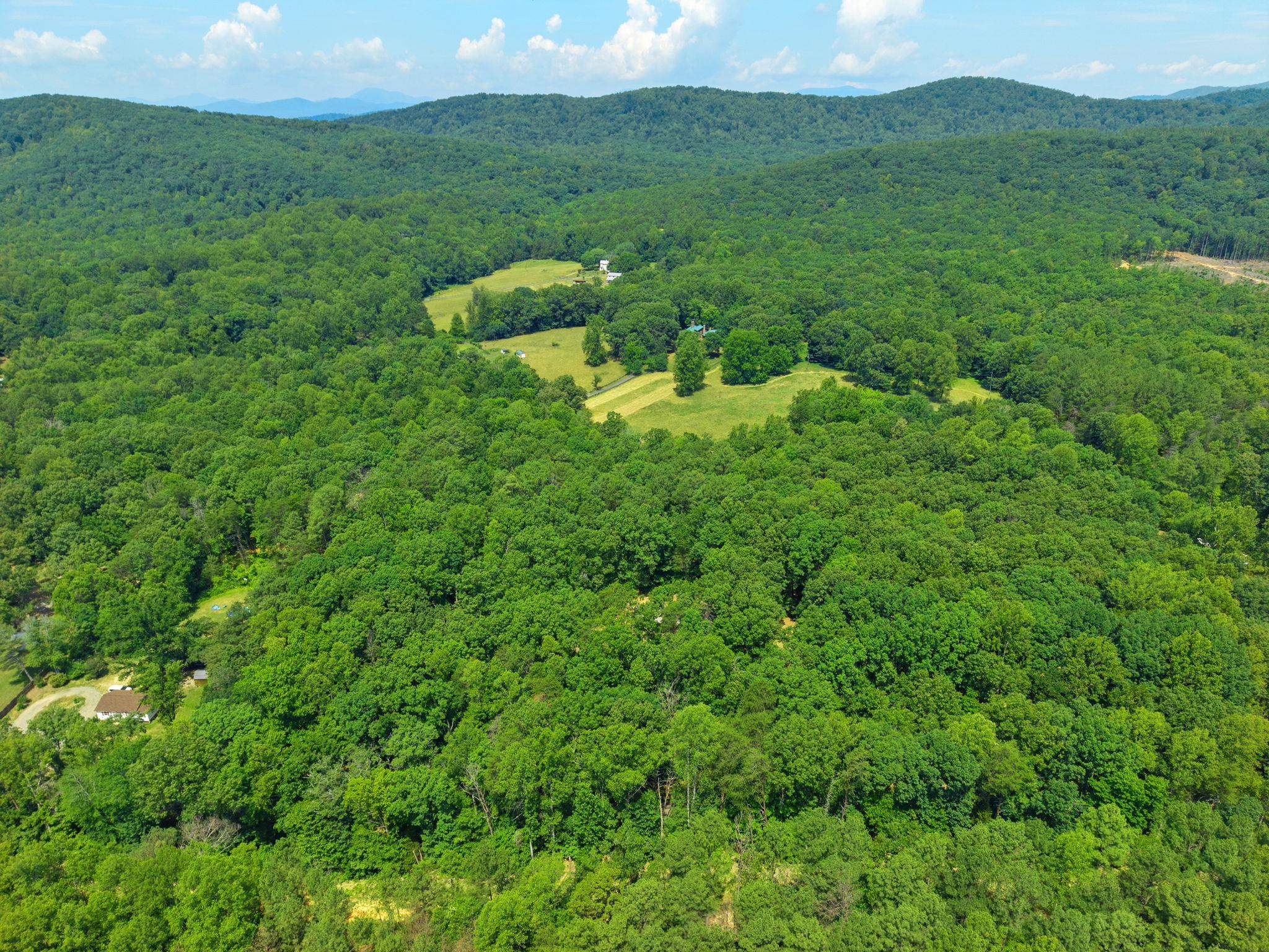 5508 GREEN CREEK RD, SCHUYLER, Virginia 22969, 3 Bedrooms Bedrooms, ,2 BathroomsBathrooms,Residential,5508 GREEN CREEK RD,679288 MLS # 679288 5508 GREEN CREEK RD, SCHUYLER, Virginia 22969, 3 Bedrooms Bedrooms, ,2 BathroomsBathrooms,Residential,5508 GREEN CREEK RD,679288 MLS # 679288