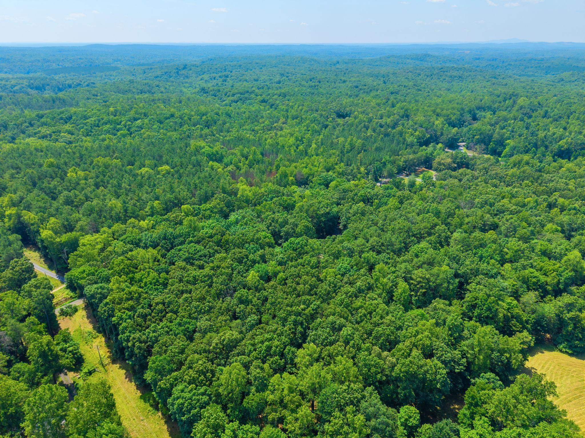 5508 GREEN CREEK RD, SCHUYLER, Virginia 22969, 3 Bedrooms Bedrooms, ,2 BathroomsBathrooms,Residential,5508 GREEN CREEK RD,679288 MLS # 679288 5508 GREEN CREEK RD, SCHUYLER, Virginia 22969, 3 Bedrooms Bedrooms, ,2 BathroomsBathrooms,Residential,5508 GREEN CREEK RD,679288 MLS # 679288