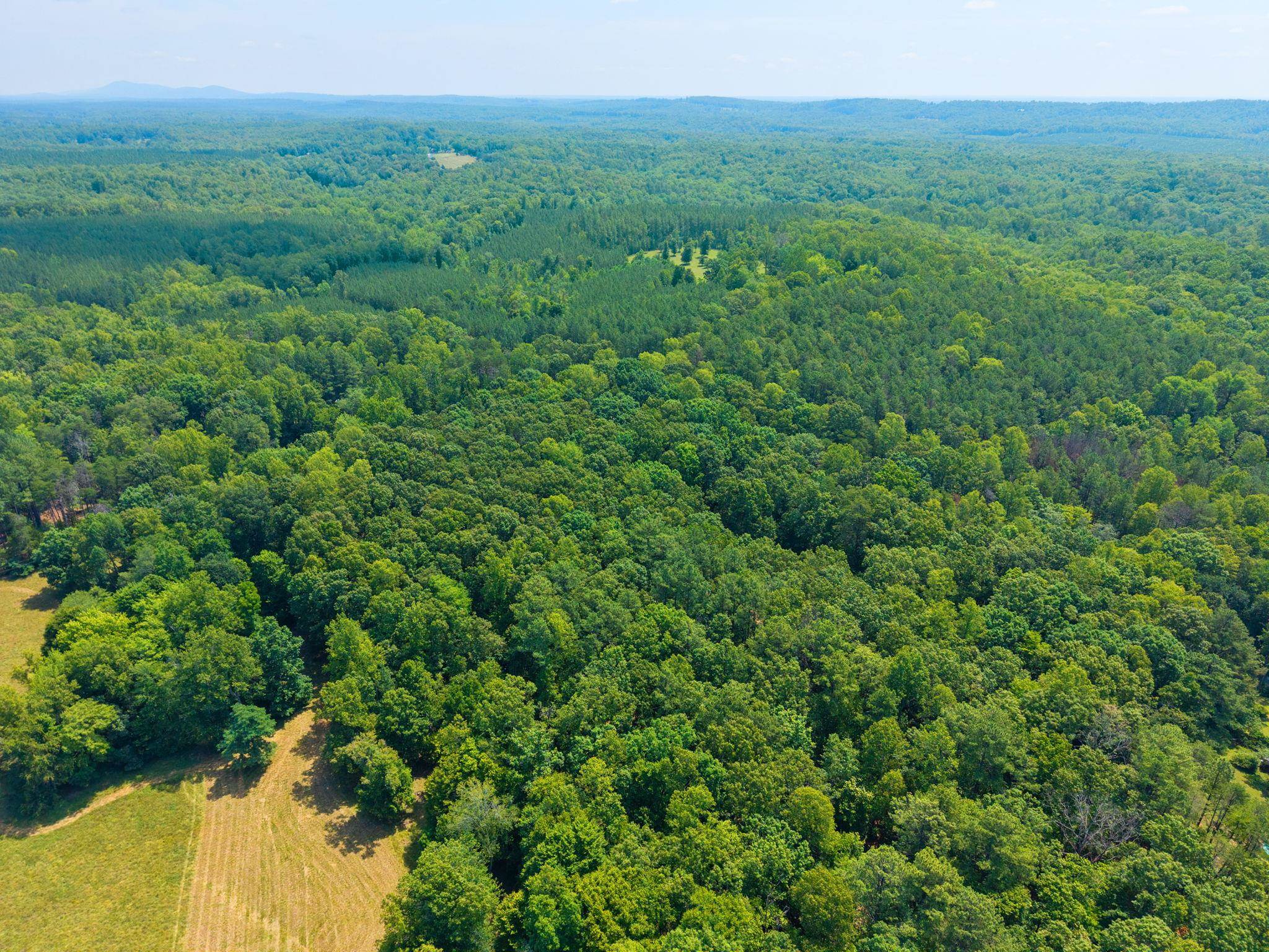 5508 GREEN CREEK RD, SCHUYLER, Virginia 22969, 3 Bedrooms Bedrooms, ,2 BathroomsBathrooms,Residential,5508 GREEN CREEK RD,679288 MLS # 679288 5508 GREEN CREEK RD, SCHUYLER, Virginia 22969, 3 Bedrooms Bedrooms, ,2 BathroomsBathrooms,Residential,5508 GREEN CREEK RD,679288 MLS # 679288