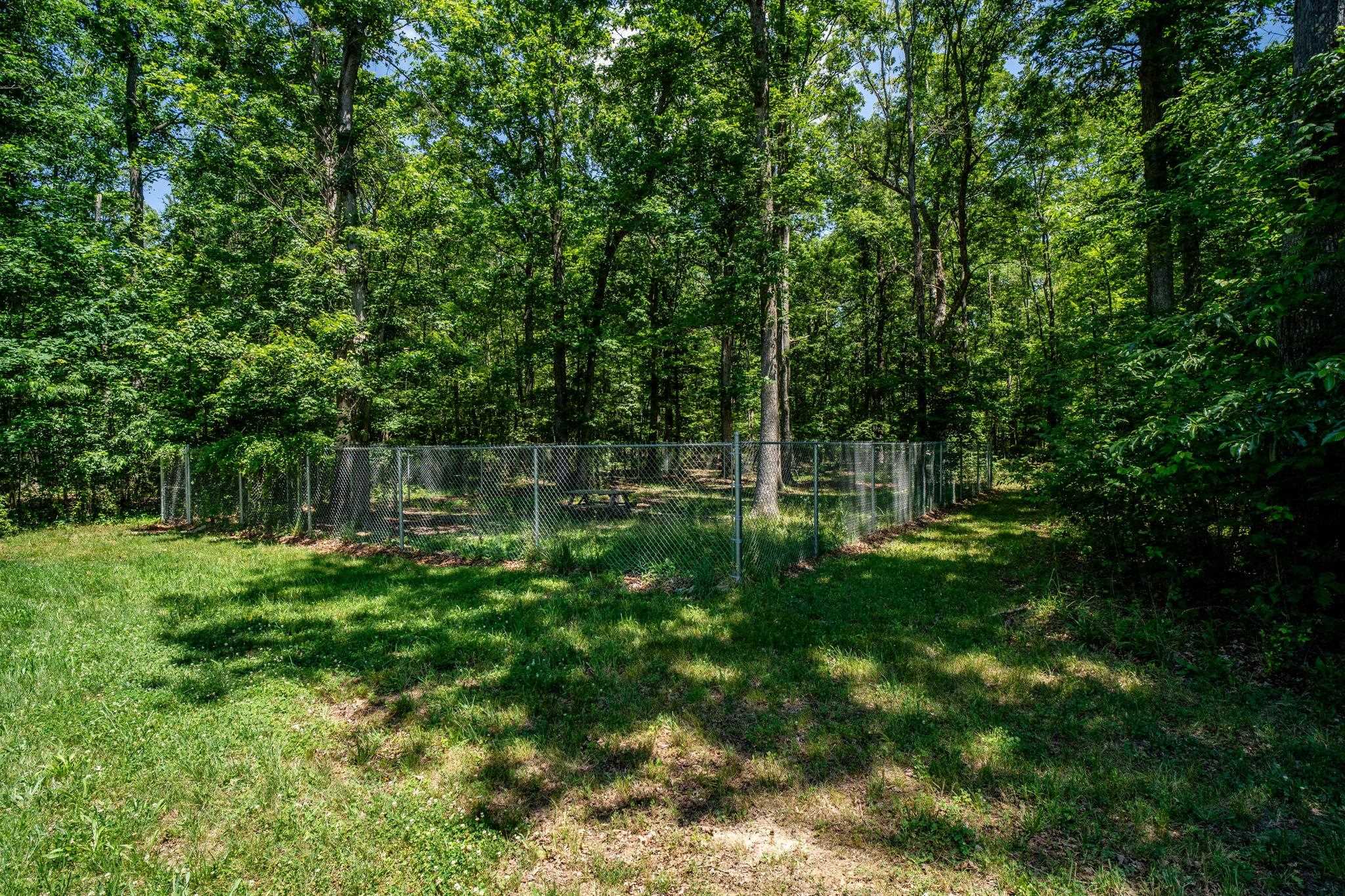 1001 MT TORREY RD, LYNDHURST, Virginia 22952, ,Commercial,1001 MT TORREY RD,679297 MLS # 679297 1001 MT TORREY RD, LYNDHURST, Virginia 22952, ,Commercial,1001 MT TORREY RD,679297 MLS # 679297