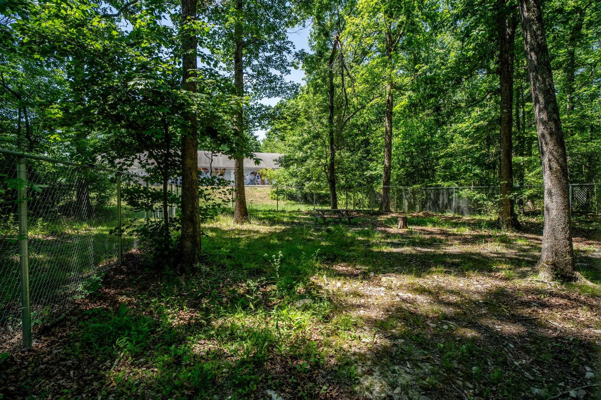 1001 MT TORREY RD, LYNDHURST, Virginia 22952, ,Commercial,1001 MT TORREY RD,679297 MLS # 679297 1001 MT TORREY RD, LYNDHURST, Virginia 22952, ,Commercial,1001 MT TORREY RD,679297 MLS # 679297