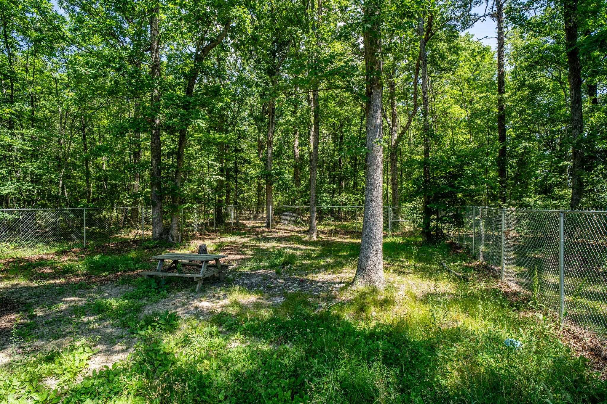 1001 MT TORREY RD, LYNDHURST, Virginia 22952, ,Commercial,1001 MT TORREY RD,679297 MLS # 679297 1001 MT TORREY RD, LYNDHURST, Virginia 22952, ,Commercial,1001 MT TORREY RD,679297 MLS # 679297