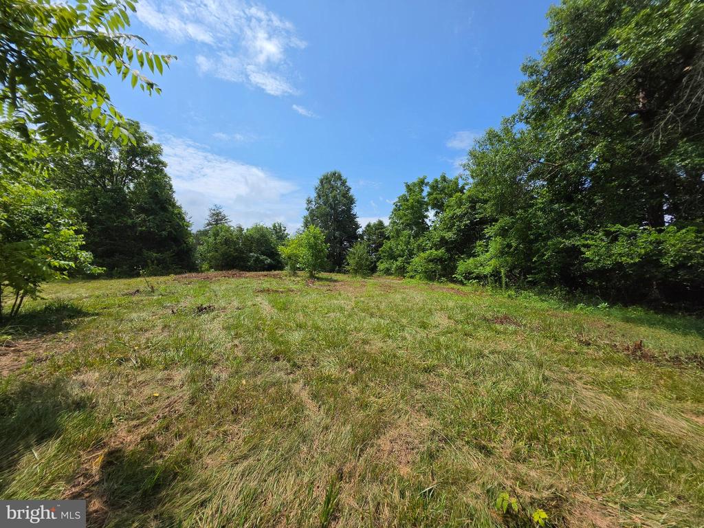 24375 CONSTITUTION HWY, UNIONVILLE, Virginia 22567, ,Land,24375 CONSTITUTION HWY,VAOR2014518 MLS # VAOR2014518 24375 CONSTITUTION HWY, UNIONVILLE, Virginia 22567, ,Land,24375 CONSTITUTION HWY,VAOR2014518 MLS # VAOR2014518