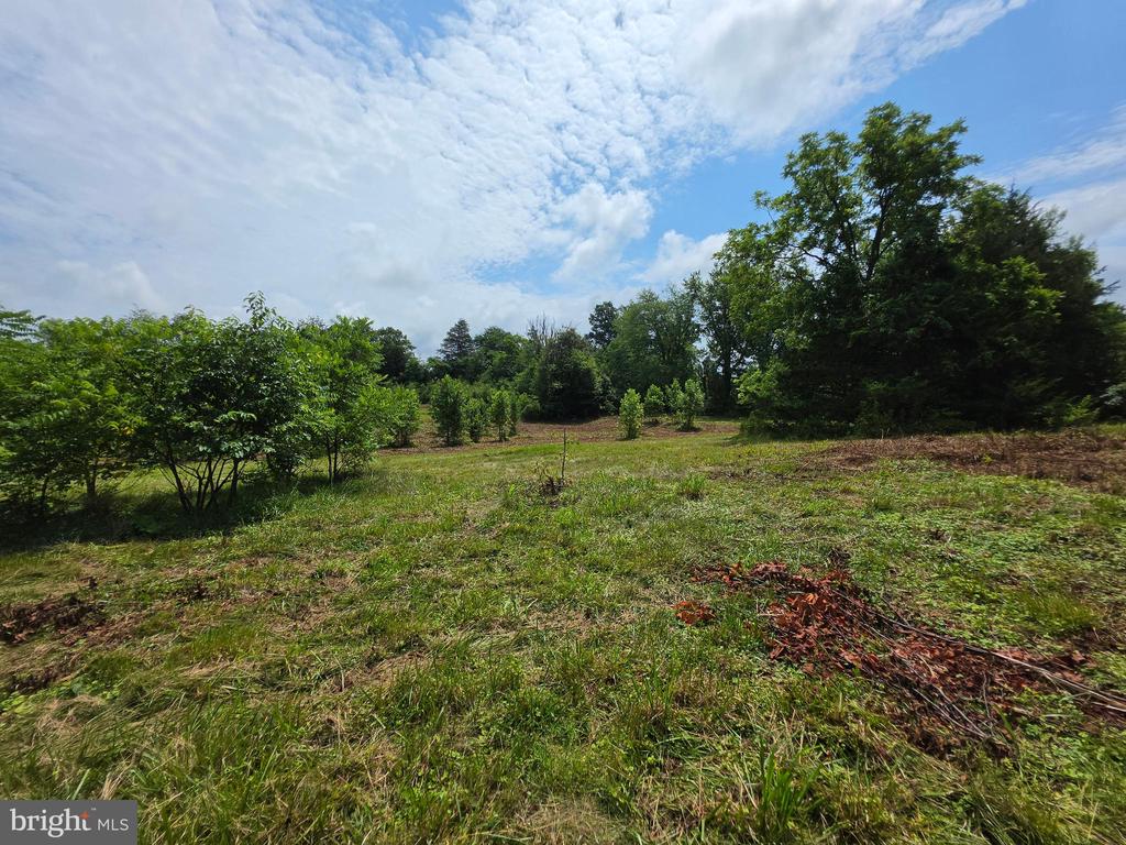 24375 CONSTITUTION HWY, UNIONVILLE, Virginia 22567, ,Land,24375 CONSTITUTION HWY,VAOR2014518 MLS # VAOR2014518 24375 CONSTITUTION HWY, UNIONVILLE, Virginia 22567, ,Land,24375 CONSTITUTION HWY,VAOR2014518 MLS # VAOR2014518
