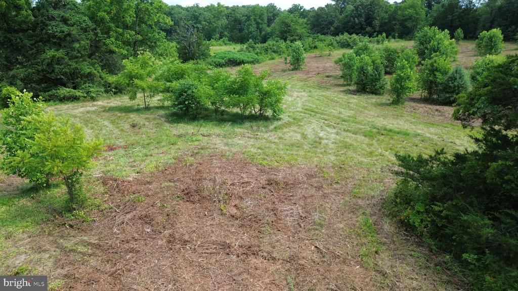 24375 CONSTITUTION HWY, UNIONVILLE, Virginia 22567, ,Land,24375 CONSTITUTION HWY,VAOR2014518 MLS # VAOR2014518 24375 CONSTITUTION HWY, UNIONVILLE, Virginia 22567, ,Land,24375 CONSTITUTION HWY,VAOR2014518 MLS # VAOR2014518
