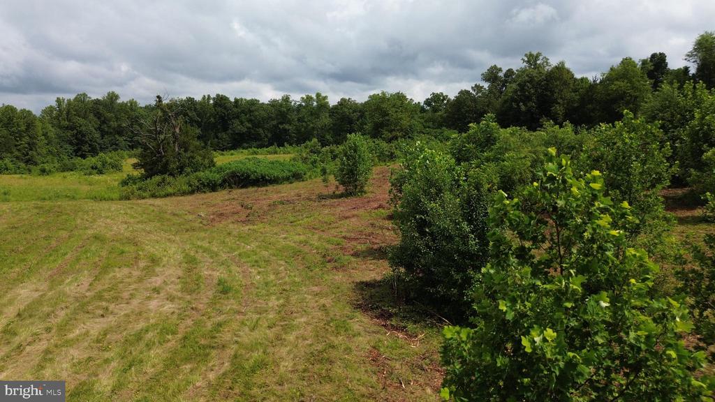 24375 CONSTITUTION HWY, UNIONVILLE, Virginia 22567, ,Land,24375 CONSTITUTION HWY,VAOR2014518 MLS # VAOR2014518 24375 CONSTITUTION HWY, UNIONVILLE, Virginia 22567, ,Land,24375 CONSTITUTION HWY,VAOR2014518 MLS # VAOR2014518