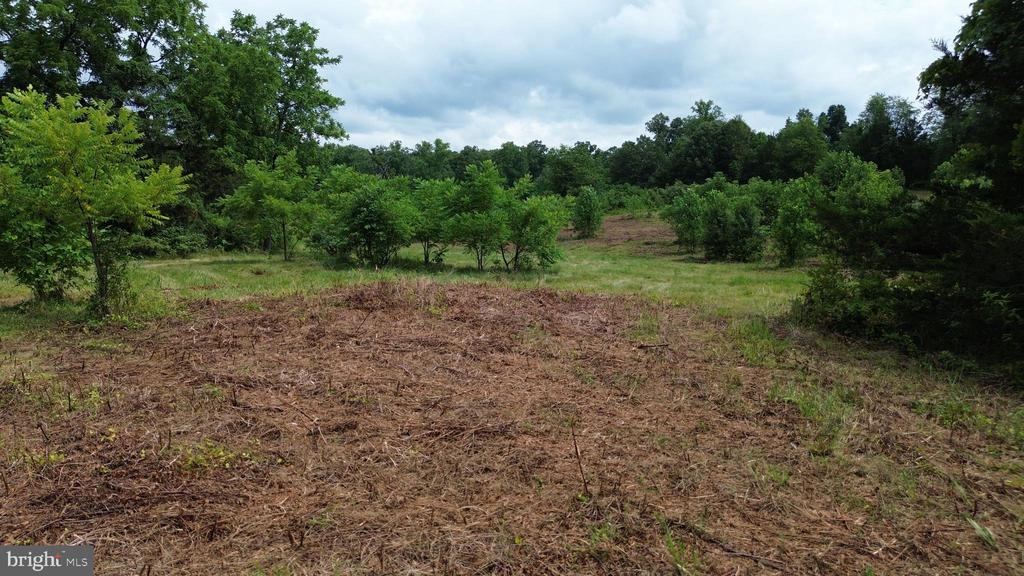 24375 CONSTITUTION HWY, UNIONVILLE, Virginia 22567, ,Land,24375 CONSTITUTION HWY,VAOR2014518 MLS # VAOR2014518 24375 CONSTITUTION HWY, UNIONVILLE, Virginia 22567, ,Land,24375 CONSTITUTION HWY,VAOR2014518 MLS # VAOR2014518