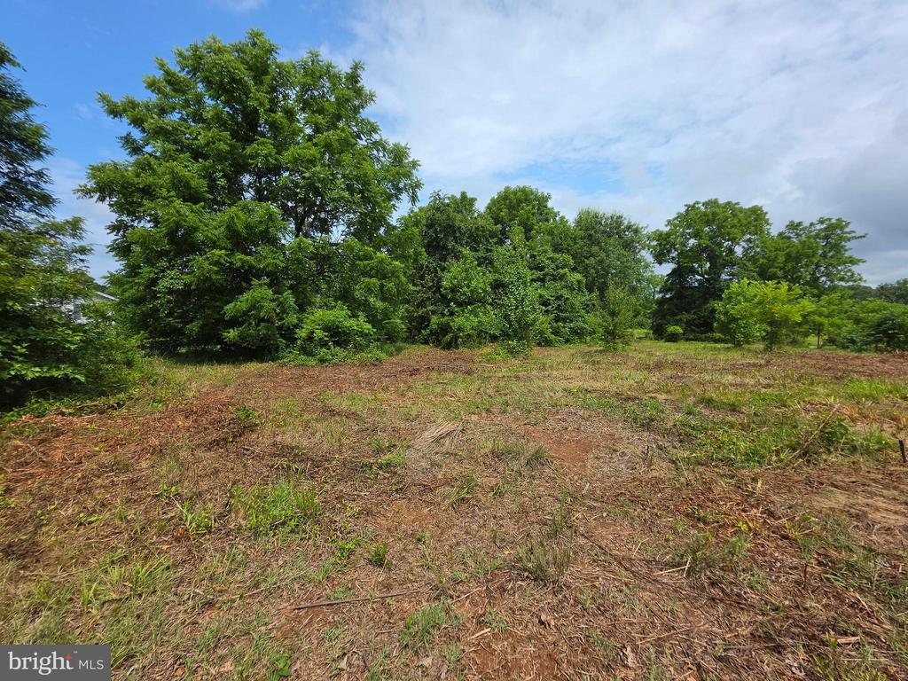24375 CONSTITUTION HWY, UNIONVILLE, Virginia 22567, ,Land,24375 CONSTITUTION HWY,VAOR2014518 MLS # VAOR2014518 24375 CONSTITUTION HWY, UNIONVILLE, Virginia 22567, ,Land,24375 CONSTITUTION HWY,VAOR2014518 MLS # VAOR2014518