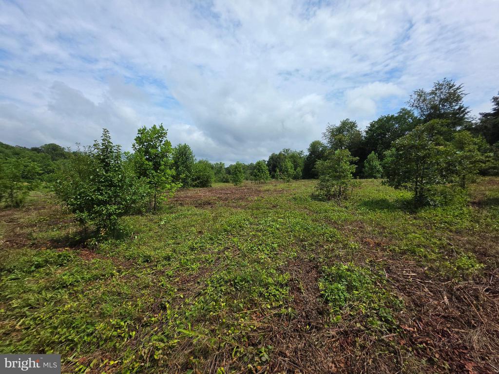 24375 CONSTITUTION HWY, UNIONVILLE, Virginia 22567, ,Land,24375 CONSTITUTION HWY,VAOR2014518 MLS # VAOR2014518 24375 CONSTITUTION HWY, UNIONVILLE, Virginia 22567, ,Land,24375 CONSTITUTION HWY,VAOR2014518 MLS # VAOR2014518