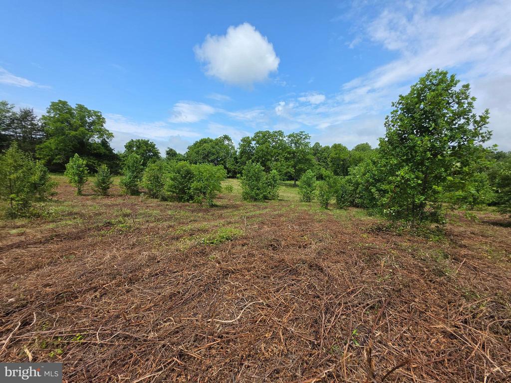24375 CONSTITUTION HWY, UNIONVILLE, Virginia 22567, ,Land,24375 CONSTITUTION HWY,VAOR2014518 MLS # VAOR2014518 24375 CONSTITUTION HWY, UNIONVILLE, Virginia 22567, ,Land,24375 CONSTITUTION HWY,VAOR2014518 MLS # VAOR2014518