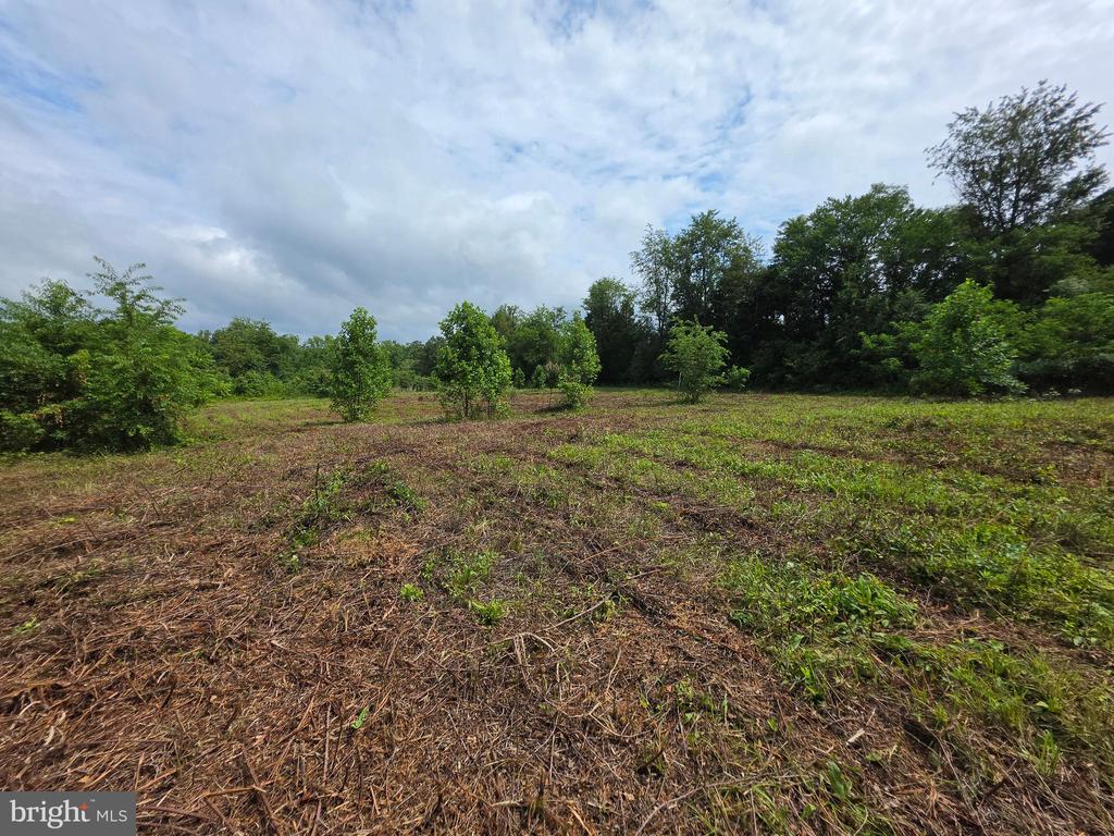 24375 CONSTITUTION HWY, UNIONVILLE, Virginia 22567, ,Land,24375 CONSTITUTION HWY,VAOR2014518 MLS # VAOR2014518 24375 CONSTITUTION HWY, UNIONVILLE, Virginia 22567, ,Land,24375 CONSTITUTION HWY,VAOR2014518 MLS # VAOR2014518