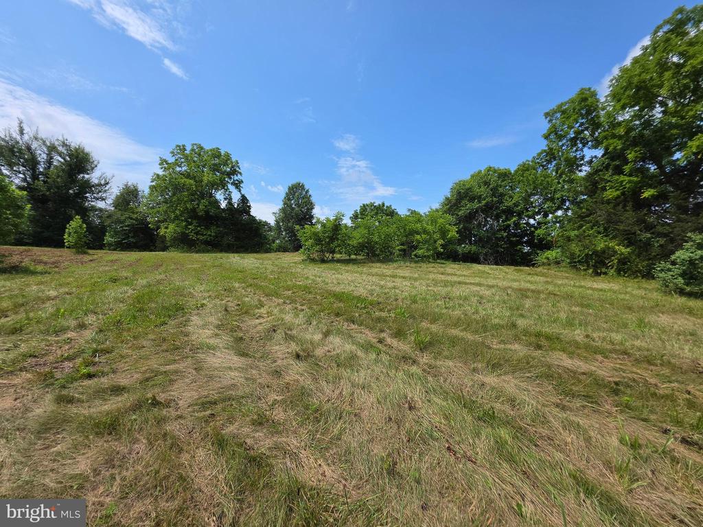 24375 CONSTITUTION HWY, UNIONVILLE, Virginia 22567, ,Land,24375 CONSTITUTION HWY,VAOR2014518 MLS # VAOR2014518 24375 CONSTITUTION HWY, UNIONVILLE, Virginia 22567, ,Land,24375 CONSTITUTION HWY,VAOR2014518 MLS # VAOR2014518