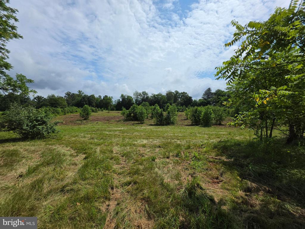 24375 CONSTITUTION HWY, UNIONVILLE, Virginia 22567, ,Land,24375 CONSTITUTION HWY,VAOR2014518 MLS # VAOR2014518 24375 CONSTITUTION HWY, UNIONVILLE, Virginia 22567, ,Land,24375 CONSTITUTION HWY,VAOR2014518 MLS # VAOR2014518