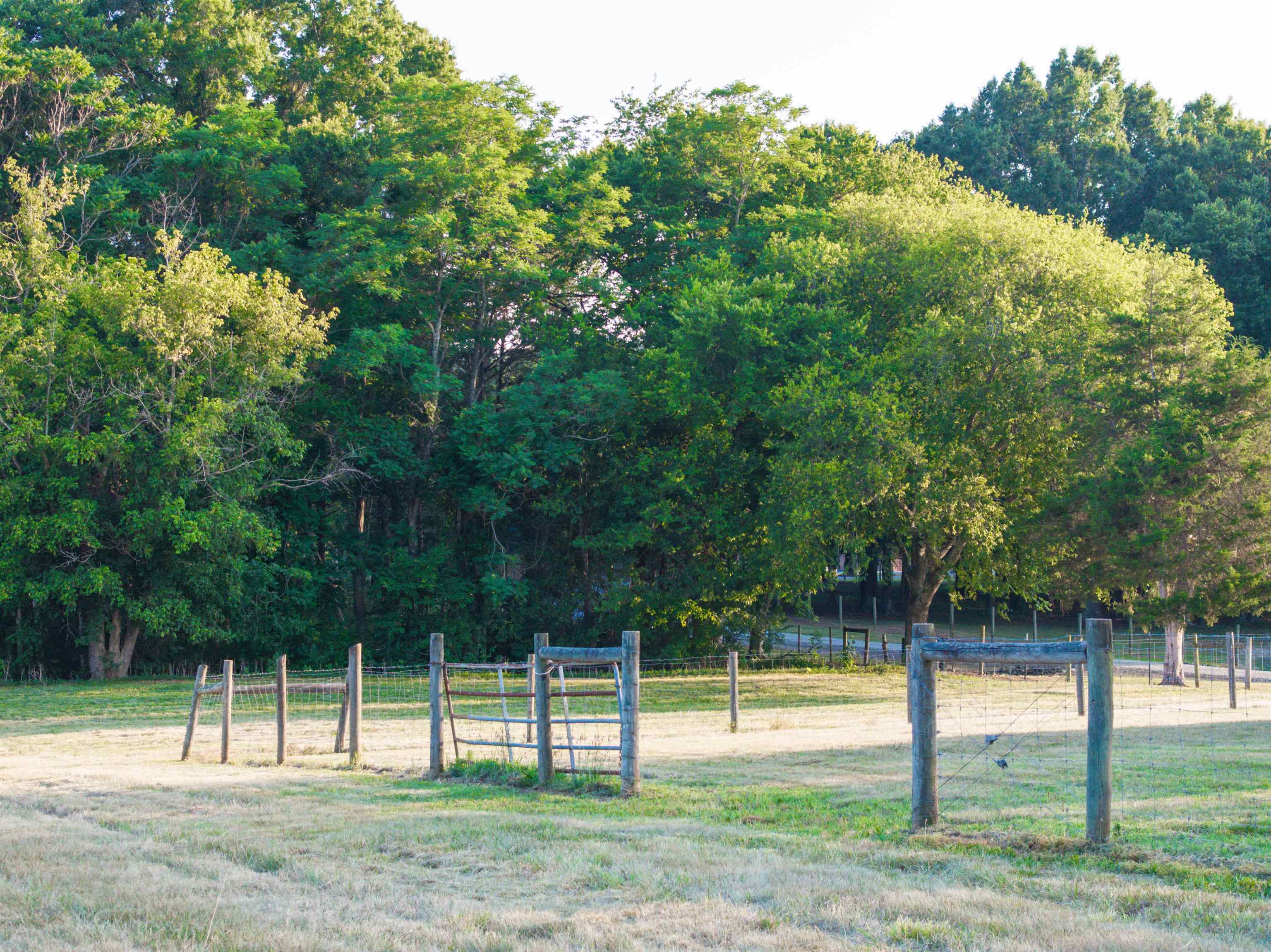 TBD BRIDGEPORT RD, ARVONIA, Virginia 23004, ,Land,TBD BRIDGEPORT RD,679306 MLS # 679306 TBD BRIDGEPORT RD, ARVONIA, Virginia 23004, ,Land,TBD BRIDGEPORT RD,679306 MLS # 679306