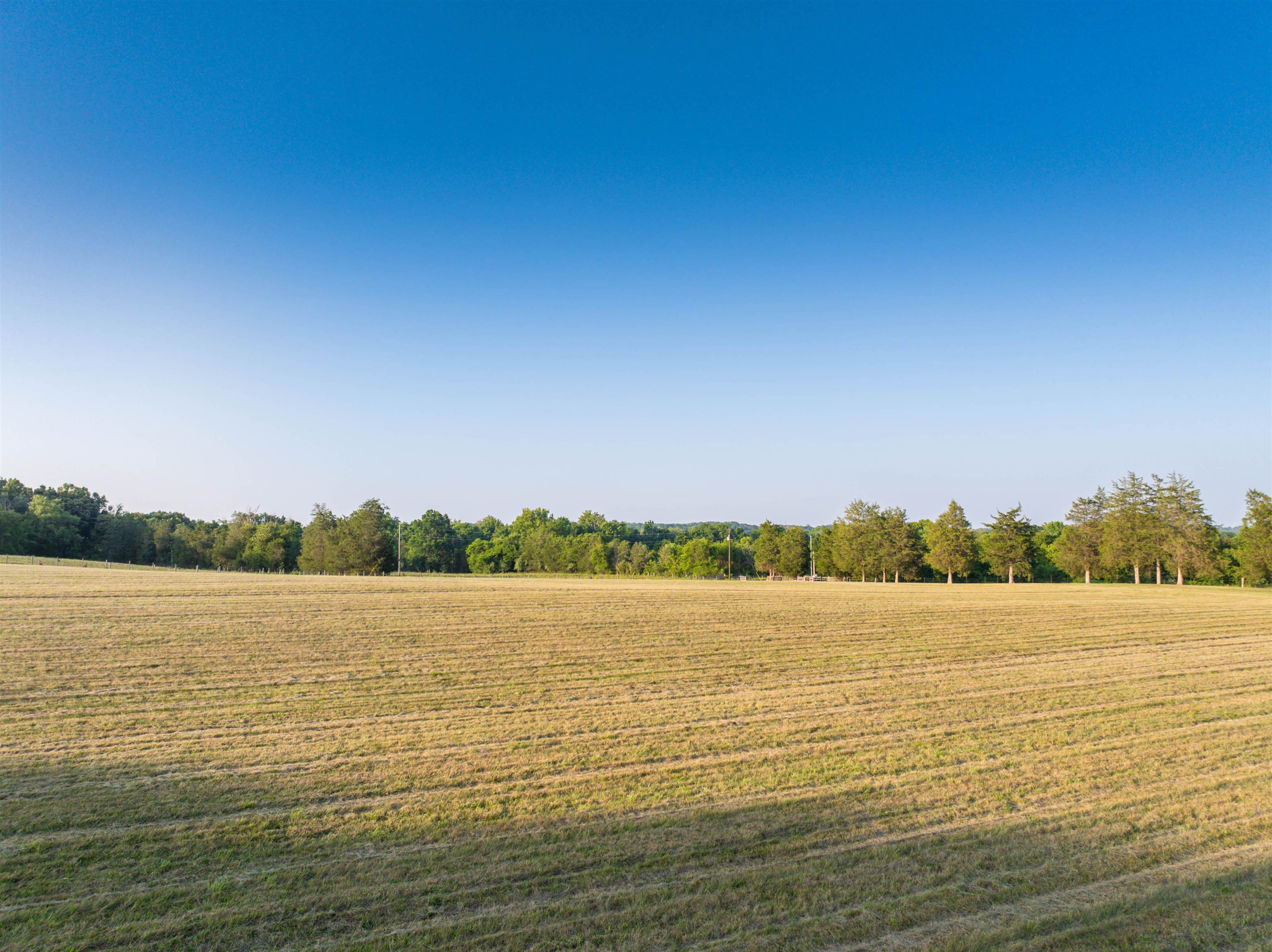 TBD BRIDGEPORT RD, ARVONIA, Virginia 23004, ,Land,TBD BRIDGEPORT RD,679306 MLS # 679306 TBD BRIDGEPORT RD, ARVONIA, Virginia 23004, ,Land,TBD BRIDGEPORT RD,679306 MLS # 679306