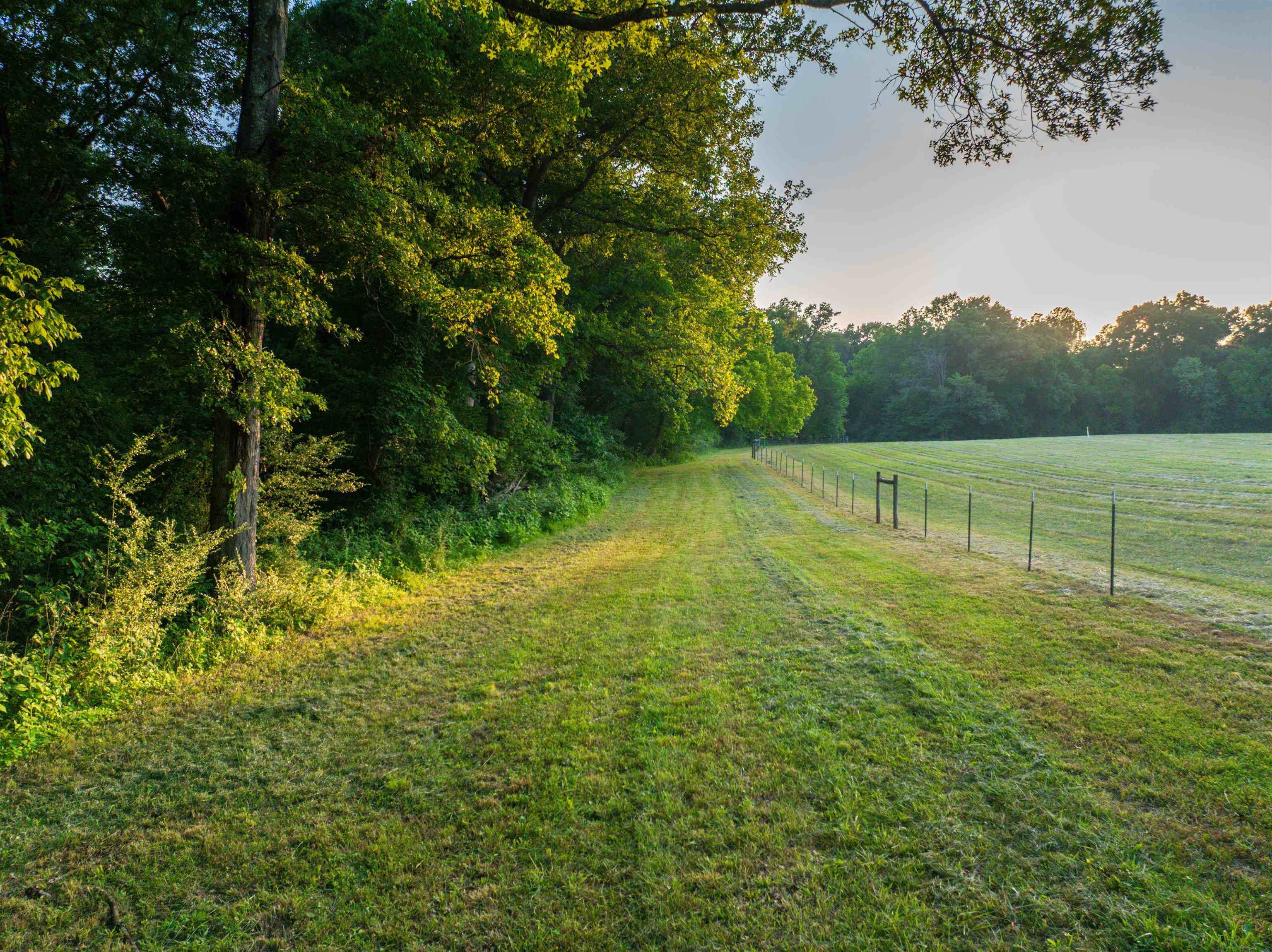 TBD BRIDGEPORT RD, ARVONIA, Virginia 23004, ,Land,TBD BRIDGEPORT RD,679306 MLS # 679306 TBD BRIDGEPORT RD, ARVONIA, Virginia 23004, ,Land,TBD BRIDGEPORT RD,679306 MLS # 679306