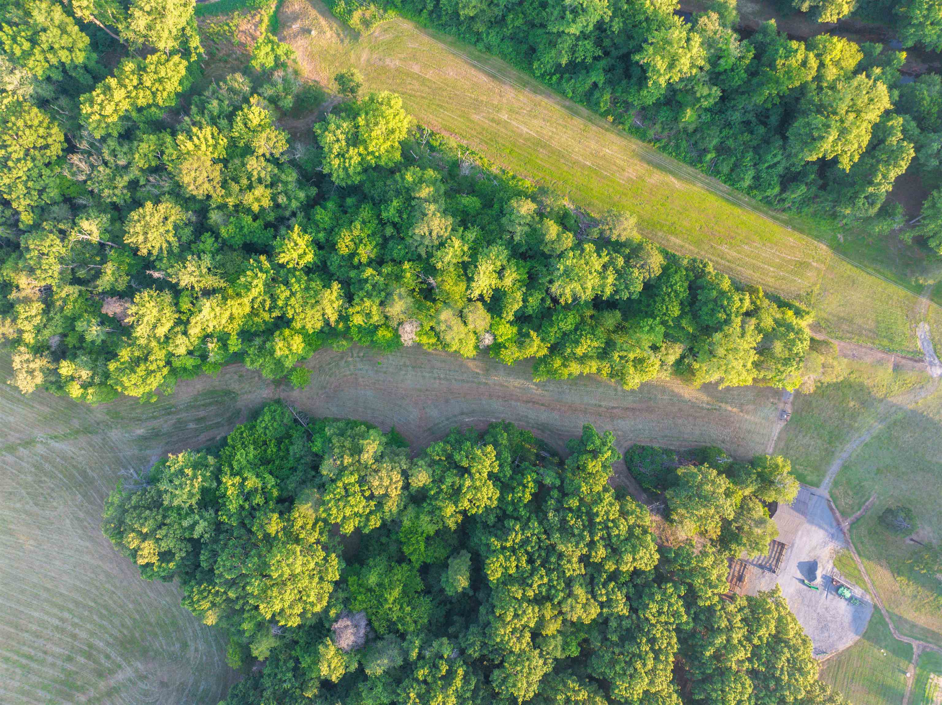 TBD BRIDGEPORT RD, ARVONIA, Virginia 23004, ,Land,TBD BRIDGEPORT RD,679306 MLS # 679306 TBD BRIDGEPORT RD, ARVONIA, Virginia 23004, ,Land,TBD BRIDGEPORT RD,679306 MLS # 679306