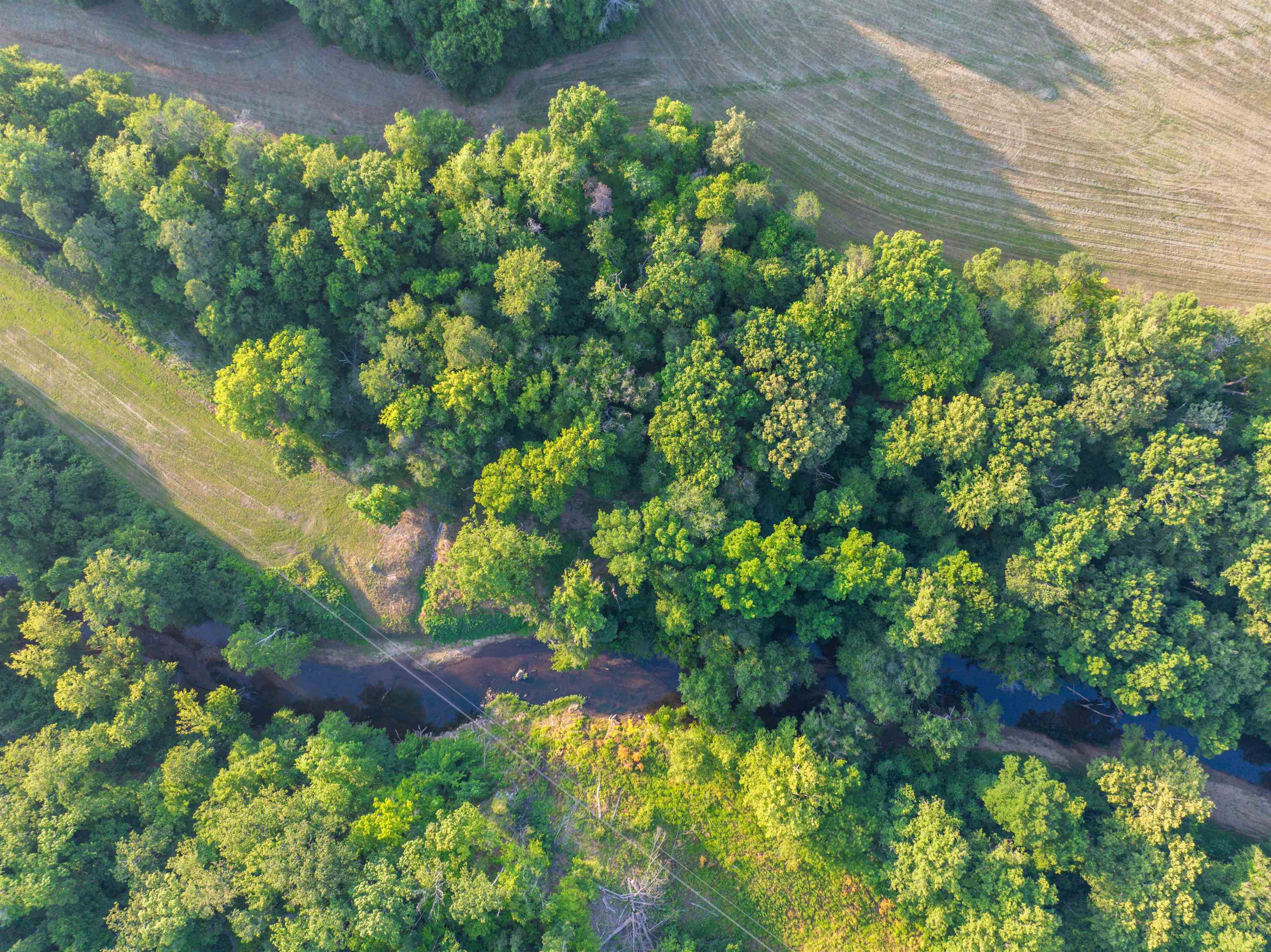 TBD BRIDGEPORT RD, ARVONIA, Virginia 23004, ,Land,TBD BRIDGEPORT RD,679306 MLS # 679306 TBD BRIDGEPORT RD, ARVONIA, Virginia 23004, ,Land,TBD BRIDGEPORT RD,679306 MLS # 679306