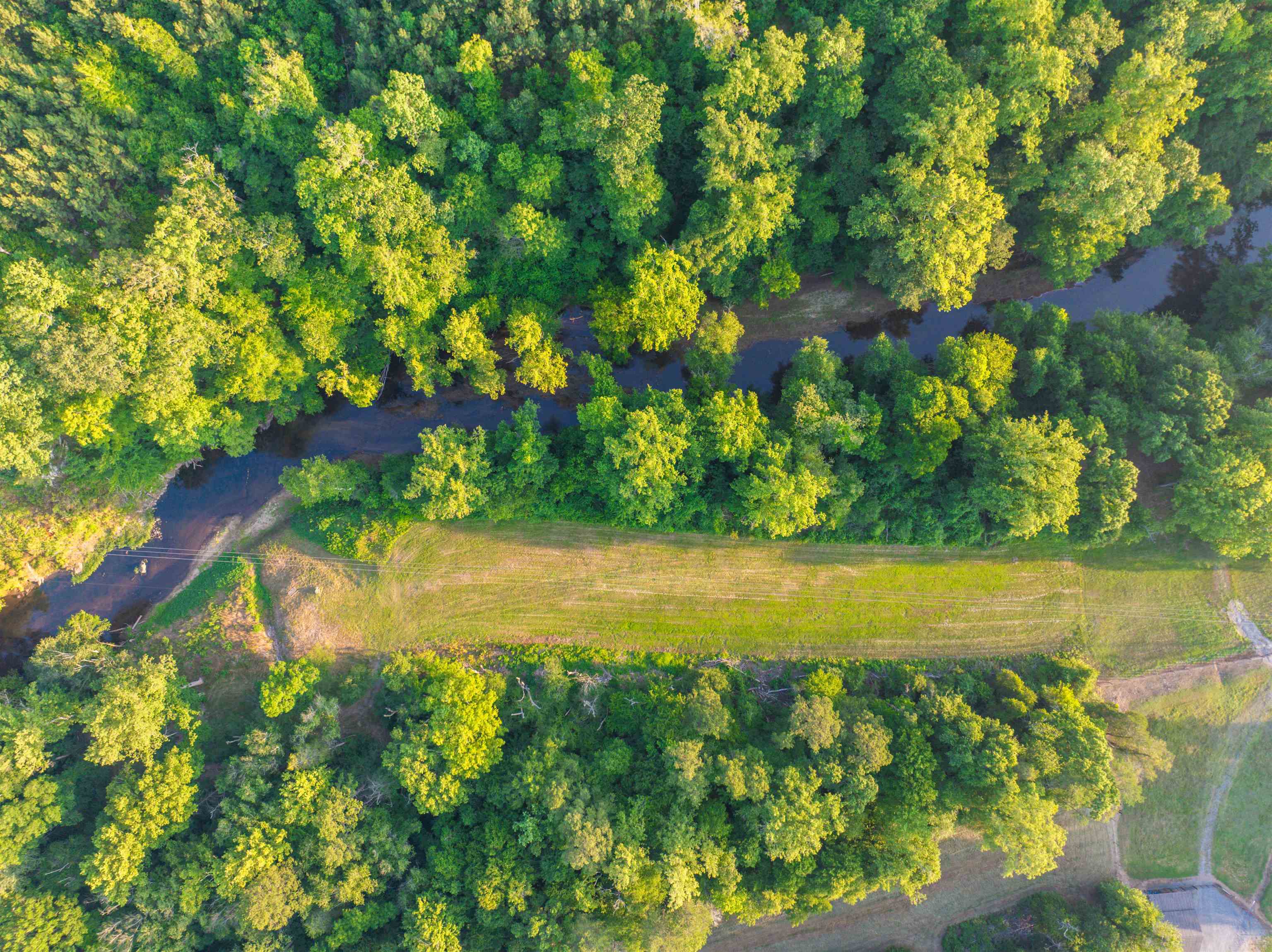 TBD BRIDGEPORT RD, ARVONIA, Virginia 23004, ,Land,TBD BRIDGEPORT RD,679306 MLS # 679306 TBD BRIDGEPORT RD, ARVONIA, Virginia 23004, ,Land,TBD BRIDGEPORT RD,679306 MLS # 679306