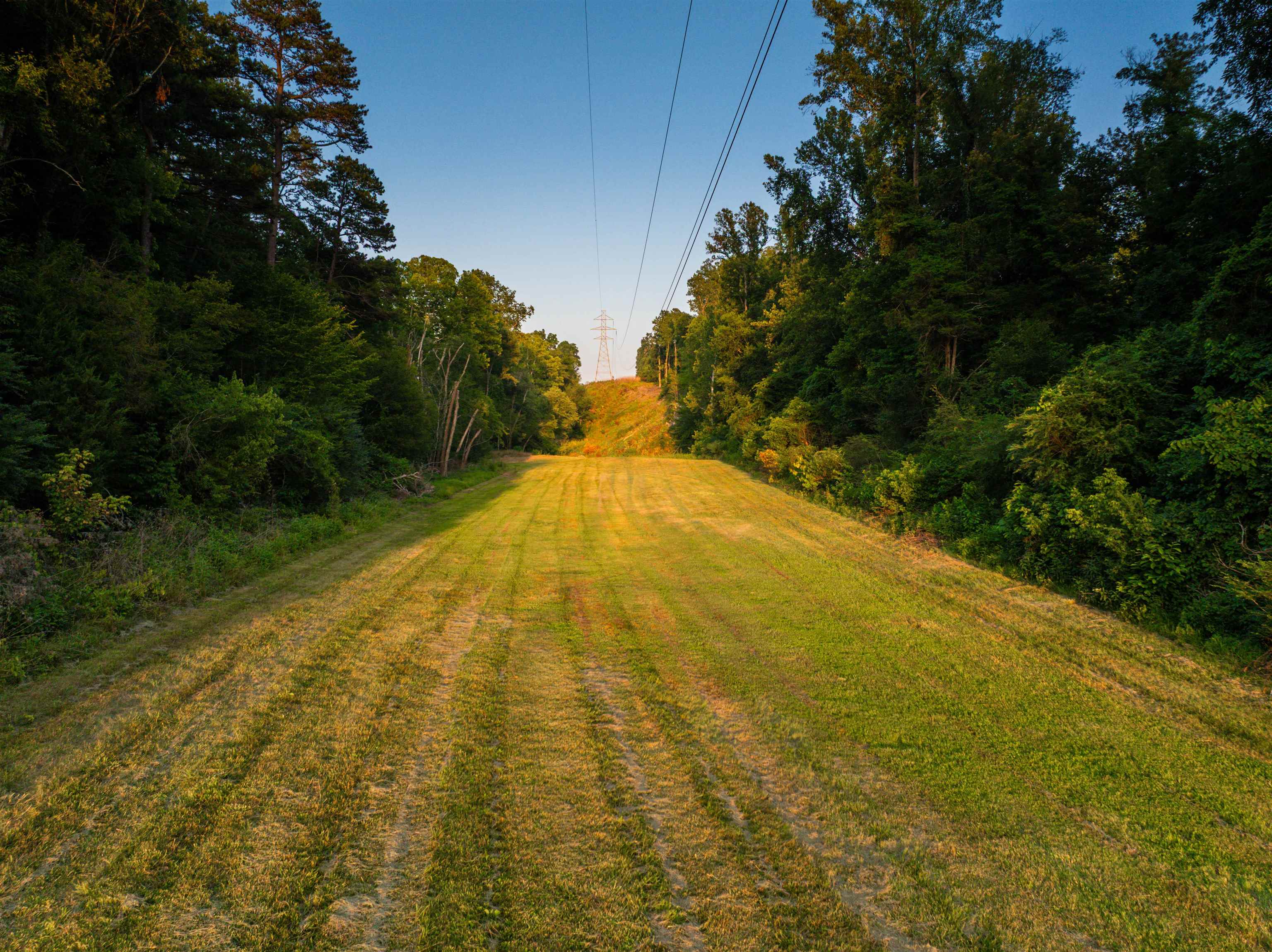 TBD BRIDGEPORT RD, ARVONIA, Virginia 23004, ,Land,TBD BRIDGEPORT RD,679306 MLS # 679306 TBD BRIDGEPORT RD, ARVONIA, Virginia 23004, ,Land,TBD BRIDGEPORT RD,679306 MLS # 679306