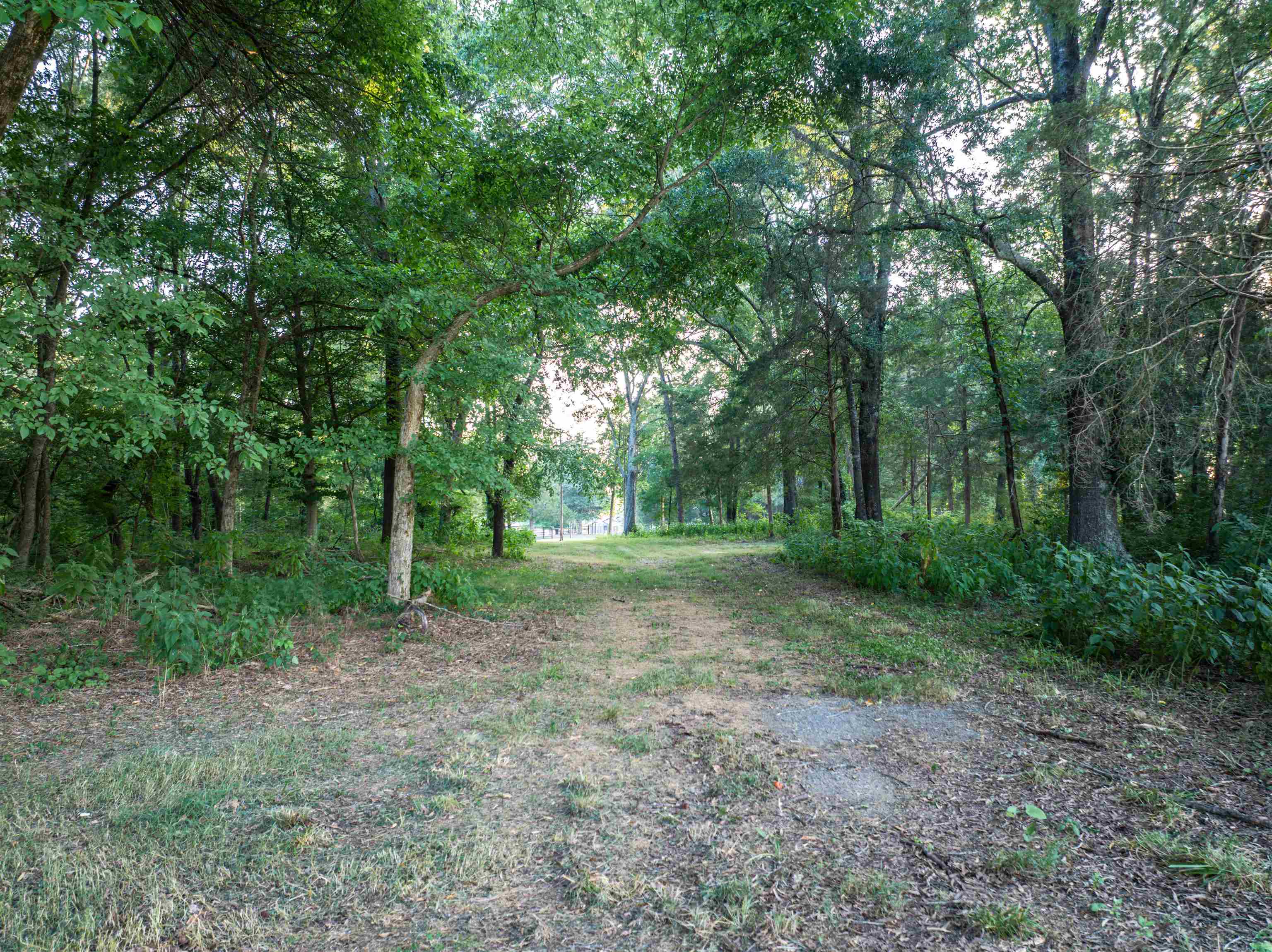 TBD BRIDGEPORT RD, ARVONIA, Virginia 23004, ,Land,TBD BRIDGEPORT RD,679306 MLS # 679306 TBD BRIDGEPORT RD, ARVONIA, Virginia 23004, ,Land,TBD BRIDGEPORT RD,679306 MLS # 679306