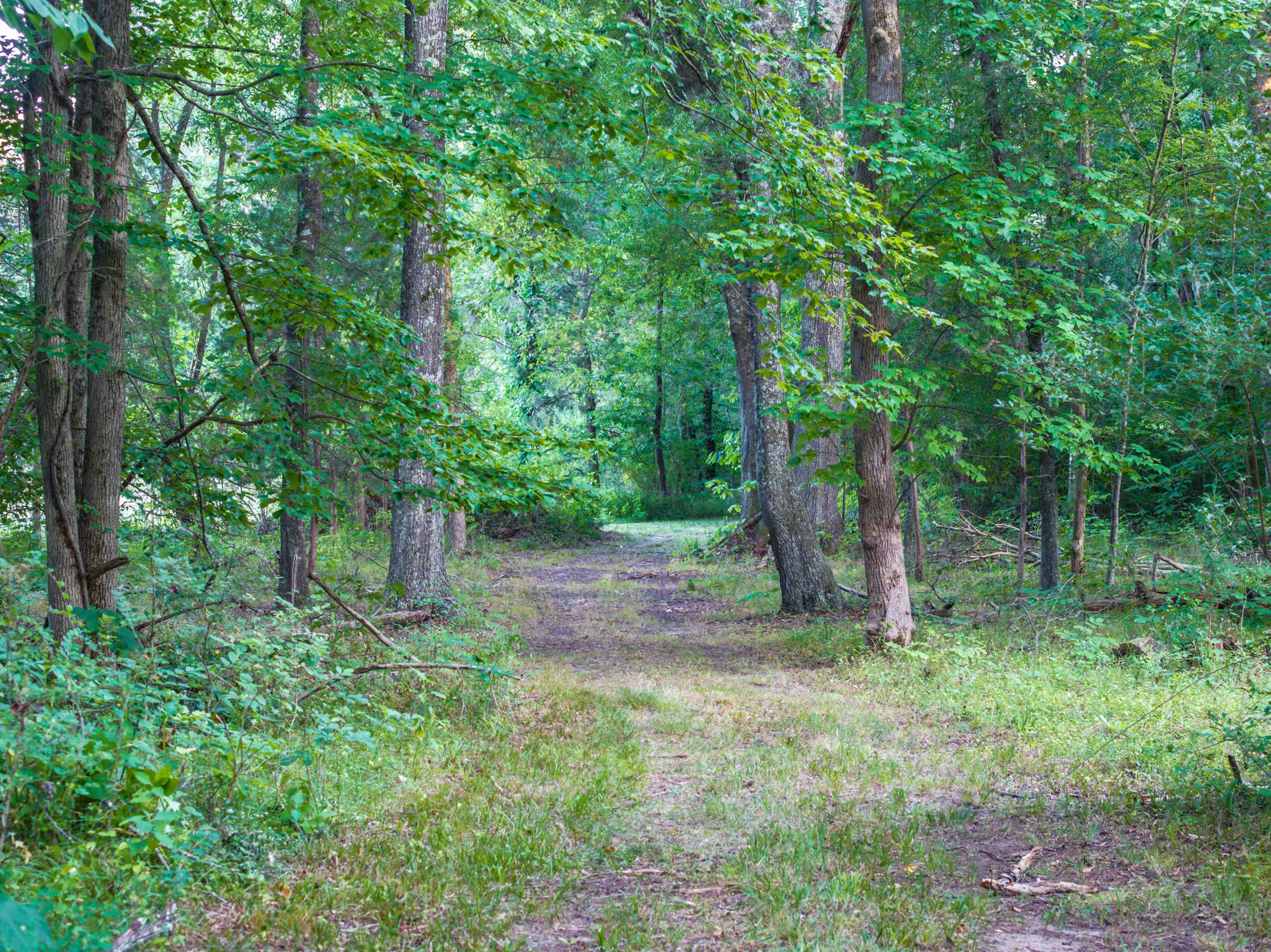 TBD BRIDGEPORT RD, ARVONIA, Virginia 23004, ,Land,TBD BRIDGEPORT RD,679306 MLS # 679306 TBD BRIDGEPORT RD, ARVONIA, Virginia 23004, ,Land,TBD BRIDGEPORT RD,679306 MLS # 679306
