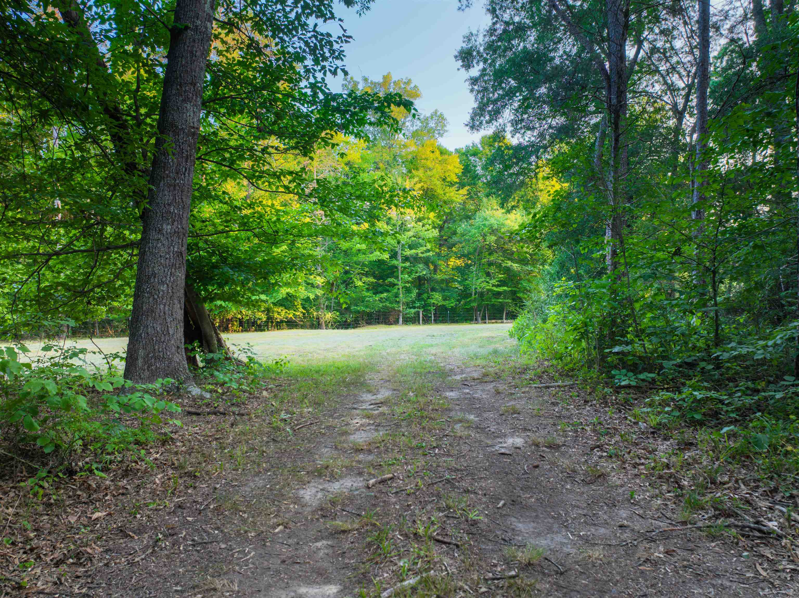 TBD BRIDGEPORT RD, ARVONIA, Virginia 23004, ,Land,TBD BRIDGEPORT RD,679306 MLS # 679306 TBD BRIDGEPORT RD, ARVONIA, Virginia 23004, ,Land,TBD BRIDGEPORT RD,679306 MLS # 679306