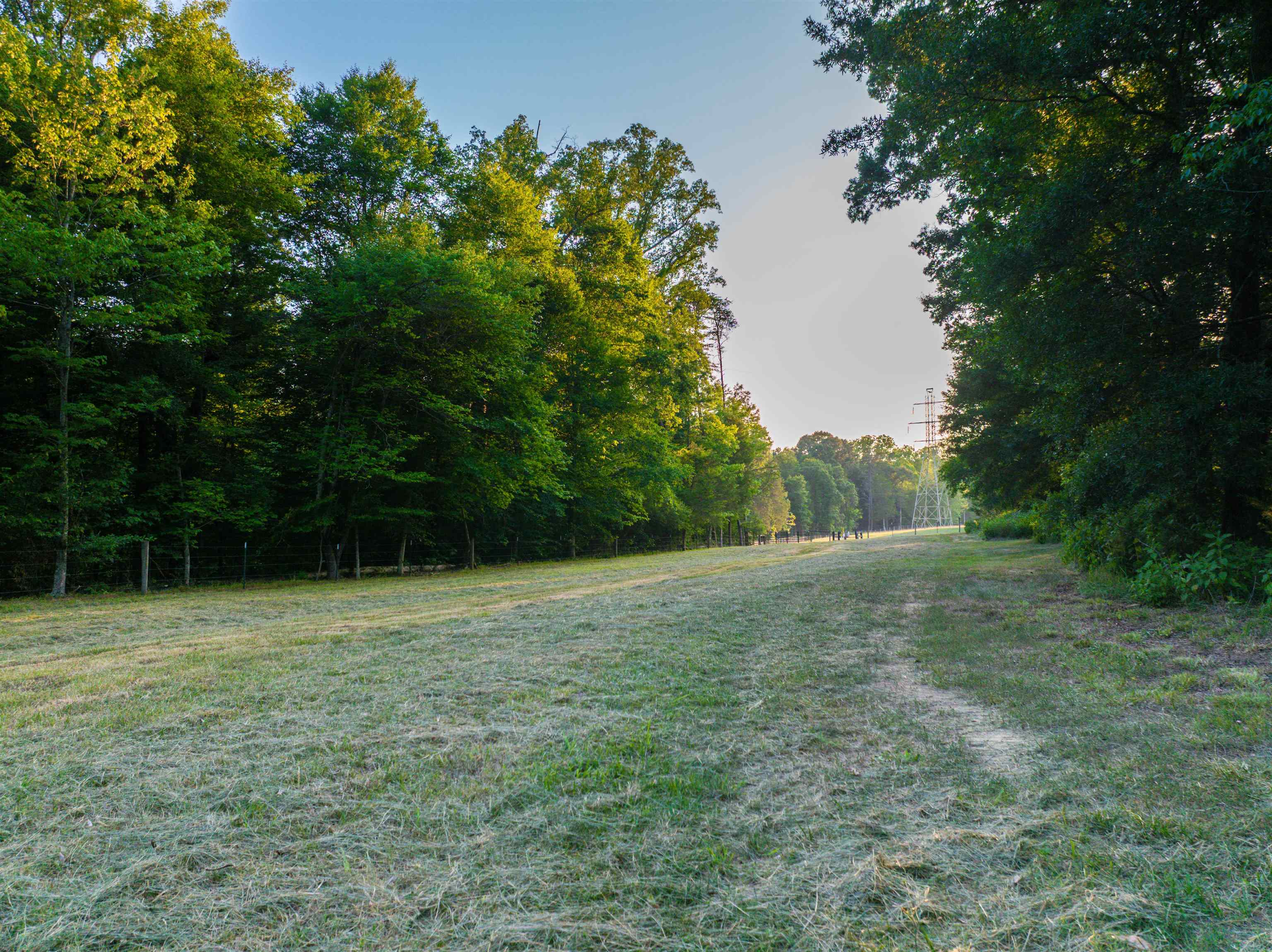 TBD BRIDGEPORT RD, ARVONIA, Virginia 23004, ,Land,TBD BRIDGEPORT RD,679306 MLS # 679306 TBD BRIDGEPORT RD, ARVONIA, Virginia 23004, ,Land,TBD BRIDGEPORT RD,679306 MLS # 679306