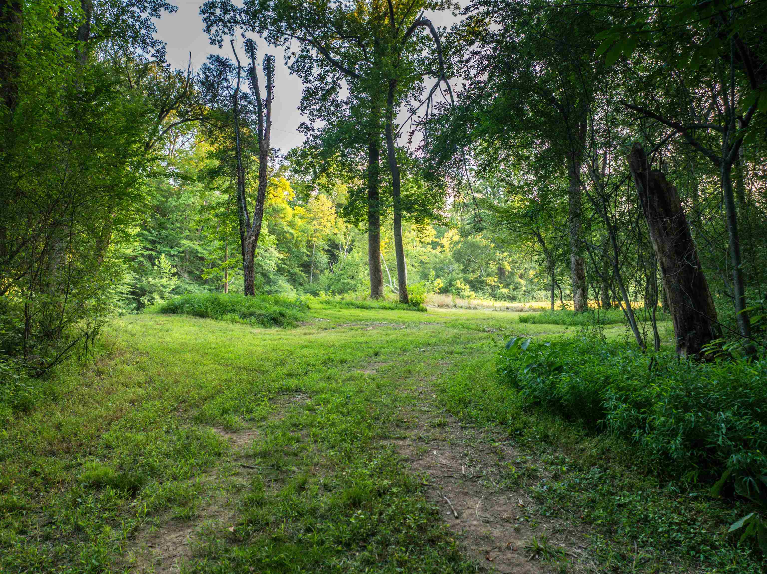 TBD BRIDGEPORT RD, ARVONIA, Virginia 23004, ,Land,TBD BRIDGEPORT RD,679306 MLS # 679306 TBD BRIDGEPORT RD, ARVONIA, Virginia 23004, ,Land,TBD BRIDGEPORT RD,679306 MLS # 679306