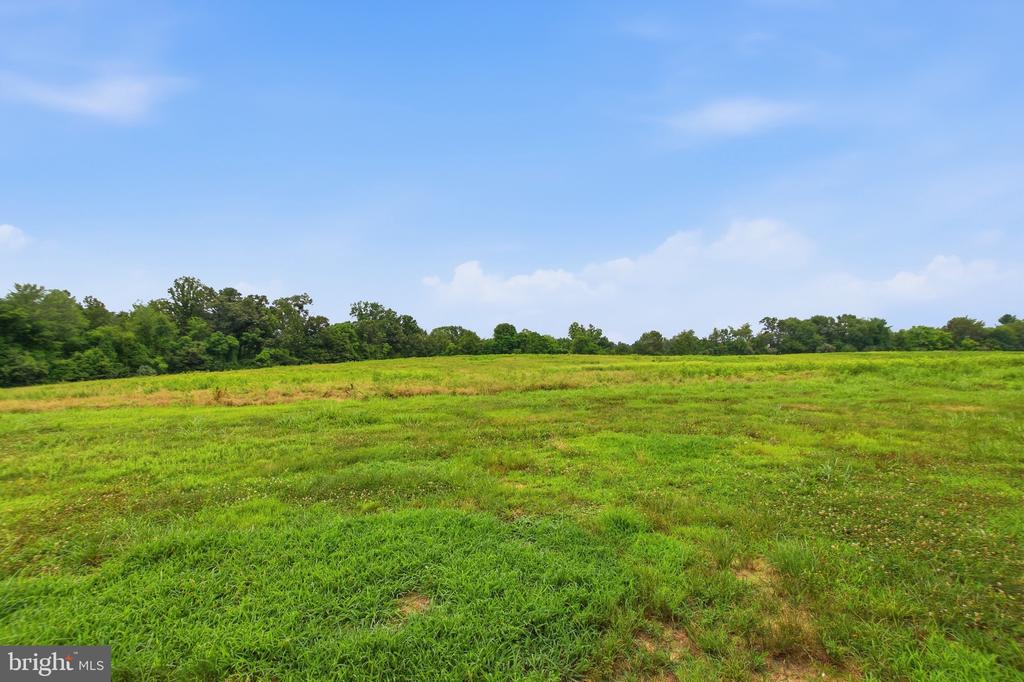 4407 INDIAN RUN RD, AMISSVILLE, Virginia 20106, 3 Bedrooms Bedrooms, ,2 BathroomsBathrooms,Residential,4407 INDIAN RUN RD,VACU2014244 MLS # VACU2014244 4407 INDIAN RUN RD, AMISSVILLE, Virginia 20106, 3 Bedrooms Bedrooms, ,2 BathroomsBathrooms,Residential,4407 INDIAN RUN RD,VACU2014244 MLS # VACU2014244