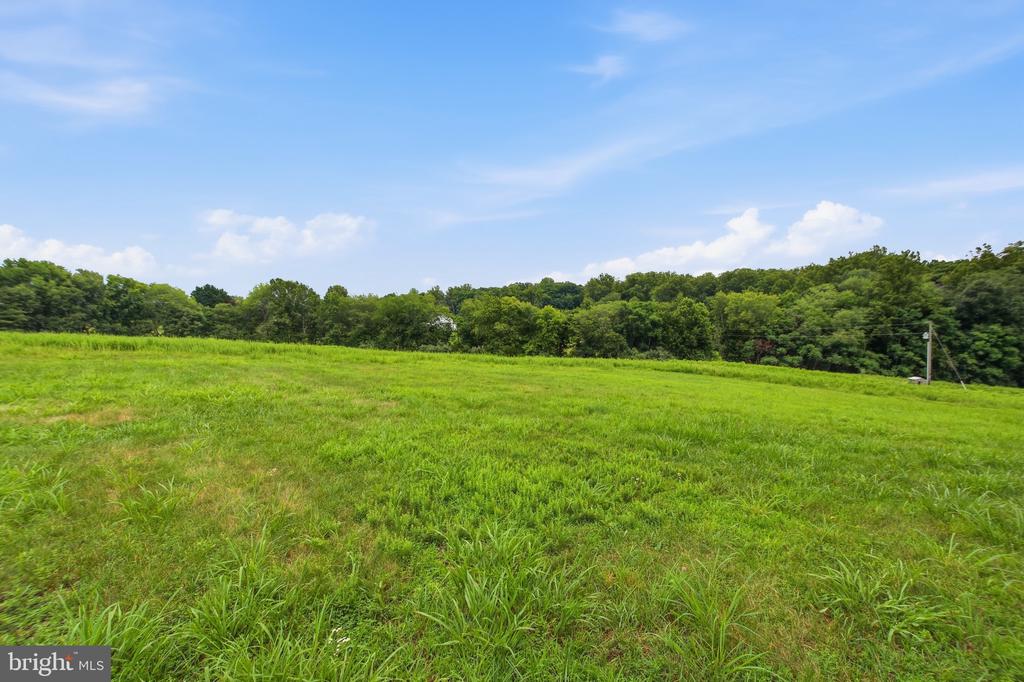 4407 INDIAN RUN RD, AMISSVILLE, Virginia 20106, 3 Bedrooms Bedrooms, ,2 BathroomsBathrooms,Residential,4407 INDIAN RUN RD,VACU2014244 MLS # VACU2014244 4407 INDIAN RUN RD, AMISSVILLE, Virginia 20106, 3 Bedrooms Bedrooms, ,2 BathroomsBathrooms,Residential,4407 INDIAN RUN RD,VACU2014244 MLS # VACU2014244