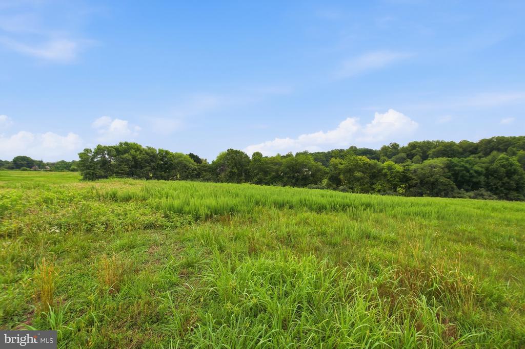 4407 INDIAN RUN RD, AMISSVILLE, Virginia 20106, 3 Bedrooms Bedrooms, ,2 BathroomsBathrooms,Residential,4407 INDIAN RUN RD,VACU2014244 MLS # VACU2014244 4407 INDIAN RUN RD, AMISSVILLE, Virginia 20106, 3 Bedrooms Bedrooms, ,2 BathroomsBathrooms,Residential,4407 INDIAN RUN RD,VACU2014244 MLS # VACU2014244