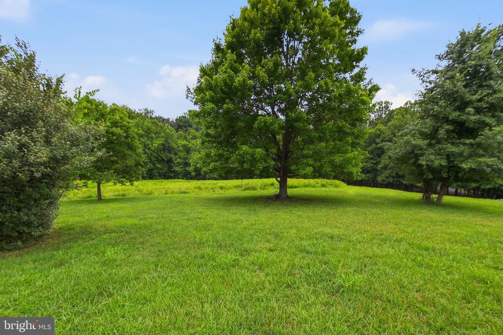 4407 INDIAN RUN RD, AMISSVILLE, Virginia 20106, 3 Bedrooms Bedrooms, ,2 BathroomsBathrooms,Residential,4407 INDIAN RUN RD,VACU2014244 MLS # VACU2014244 4407 INDIAN RUN RD, AMISSVILLE, Virginia 20106, 3 Bedrooms Bedrooms, ,2 BathroomsBathrooms,Residential,4407 INDIAN RUN RD,VACU2014244 MLS # VACU2014244