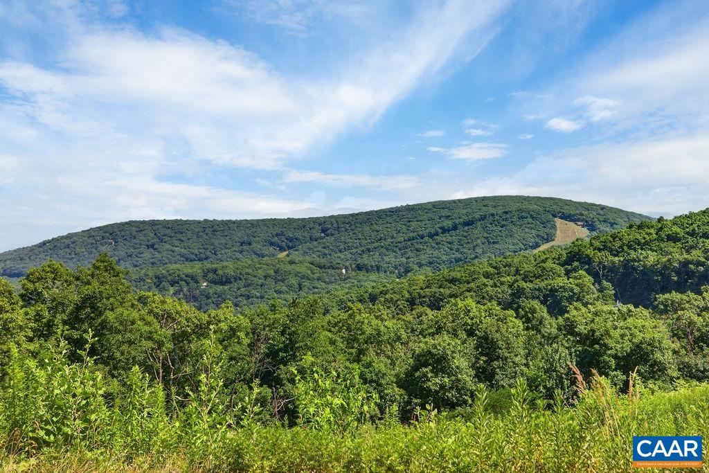 1505 CLIFFS CONDOS, WINTERGREEN RESORT, Virginia 22967, 1 Bedroom Bedrooms, ,1 BathroomBathrooms,Residential,1505 CLIFFS CONDOS,679289 MLS # 679289 1505 CLIFFS CONDOS, WINTERGREEN RESORT, Virginia 22967, 1 Bedroom Bedrooms, ,1 BathroomBathrooms,Residential,1505 CLIFFS CONDOS,679289 MLS # 679289