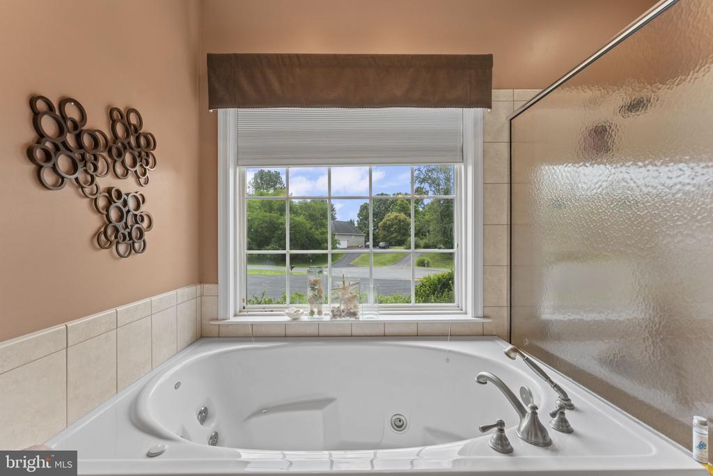 19067 BRANDY FIZZ CT, CULPEPER, Virginia 22701, 4 Bedrooms Bedrooms, ,4 BathroomsBathrooms,Residential,19067 BRANDY FIZZ CT,VACU2014296 MLS # VACU2014296