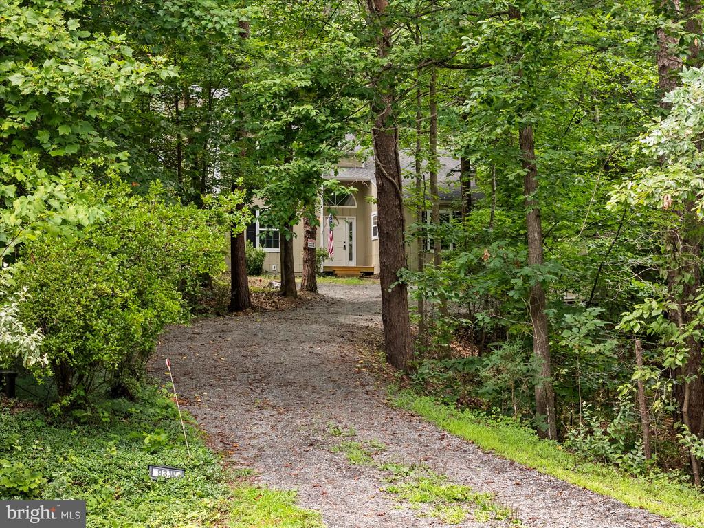 93 W CEDAR DR, RUCKERSVILLE, Virginia 22968, 3 Bedrooms Bedrooms, ,2 BathroomsBathrooms,Residential,93 W CEDAR DR,VAGR2000878 MLS # VAGR2000878 93 W CEDAR DR, RUCKERSVILLE, Virginia 22968, 3 Bedrooms Bedrooms, ,2 BathroomsBathrooms,Residential,93 W CEDAR DR,VAGR2000878 MLS # VAGR2000878