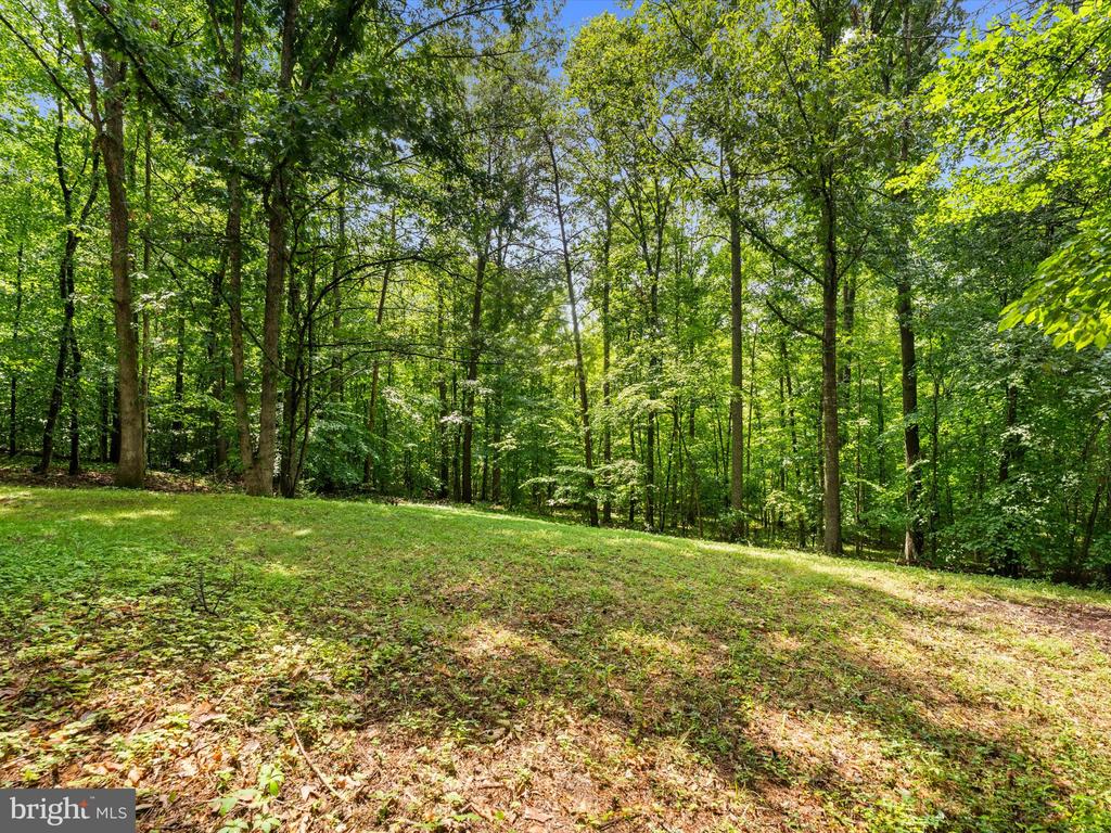 93 W CEDAR DR, RUCKERSVILLE, Virginia 22968, 3 Bedrooms Bedrooms, ,2 BathroomsBathrooms,Residential,93 W CEDAR DR,VAGR2000878 MLS # VAGR2000878 93 W CEDAR DR, RUCKERSVILLE, Virginia 22968, 3 Bedrooms Bedrooms, ,2 BathroomsBathrooms,Residential,93 W CEDAR DR,VAGR2000878 MLS # VAGR2000878