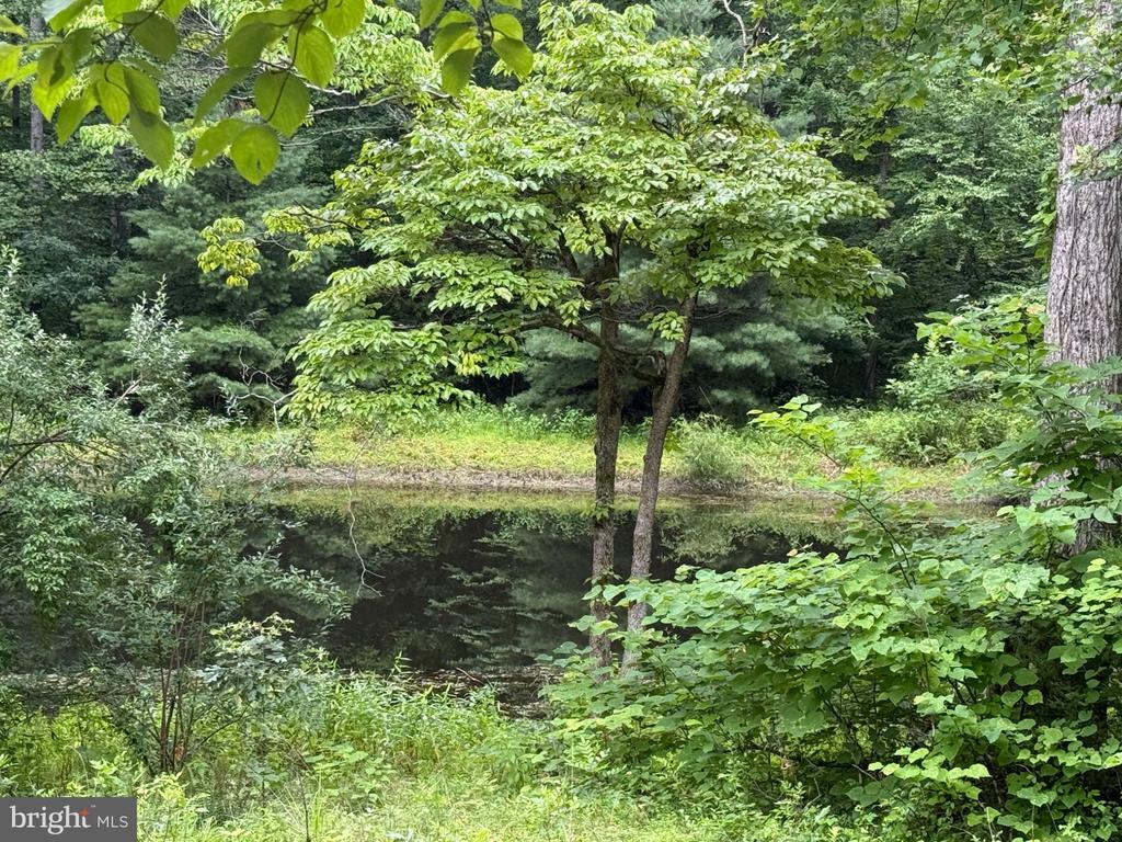 W HOOVER RD, REVA, Virginia 22735, 3 Bedrooms Bedrooms, ,1 BathroomBathrooms,Residential,W HOOVER RD,VAMA2002858 MLS # VAMA2002858 W HOOVER RD, REVA, Virginia 22735, 3 Bedrooms Bedrooms, ,1 BathroomBathrooms,Residential,W HOOVER RD,VAMA2002858 MLS # VAMA2002858