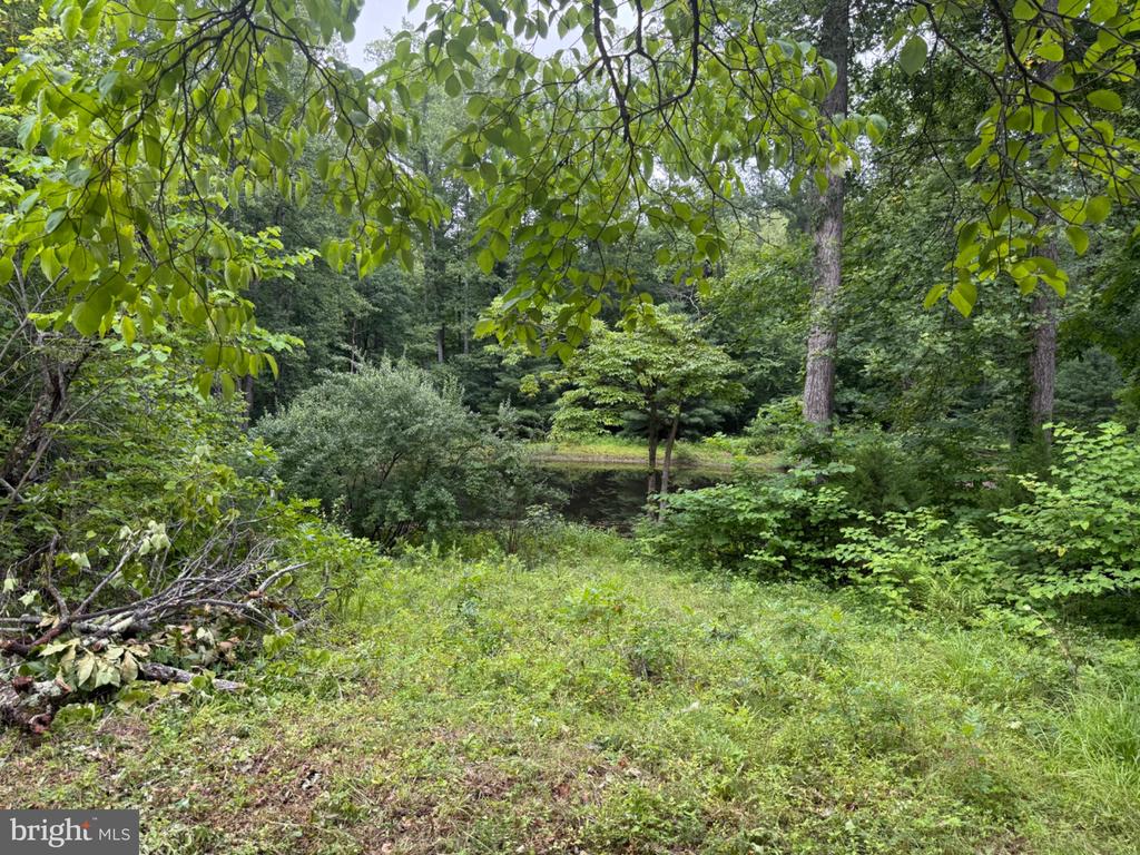 W HOOVER RD, REVA, Virginia 22735, 3 Bedrooms Bedrooms, ,1 BathroomBathrooms,Residential,W HOOVER RD,VAMA2002858 MLS # VAMA2002858 W HOOVER RD, REVA, Virginia 22735, 3 Bedrooms Bedrooms, ,1 BathroomBathrooms,Residential,W HOOVER RD,VAMA2002858 MLS # VAMA2002858