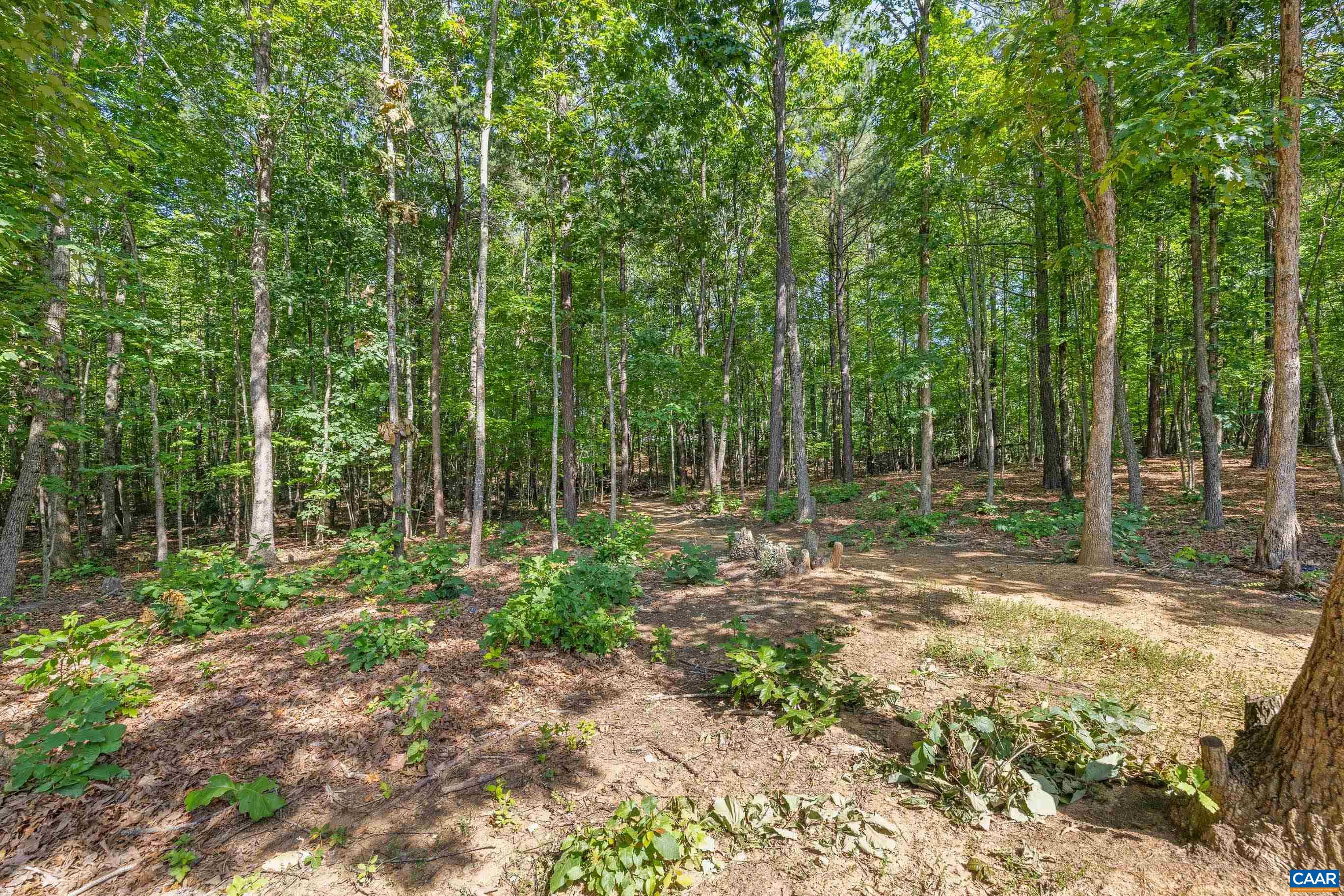 306 ROSEWOOD DR, SCOTTSVILLE, Virginia 24590, 3 Bedrooms Bedrooms, ,2 BathroomsBathrooms,Residential,306 ROSEWOOD DR,679210 MLS # 679210 306 ROSEWOOD DR, SCOTTSVILLE, Virginia 24590, 3 Bedrooms Bedrooms, ,2 BathroomsBathrooms,Residential,306 ROSEWOOD DR,679210 MLS # 679210